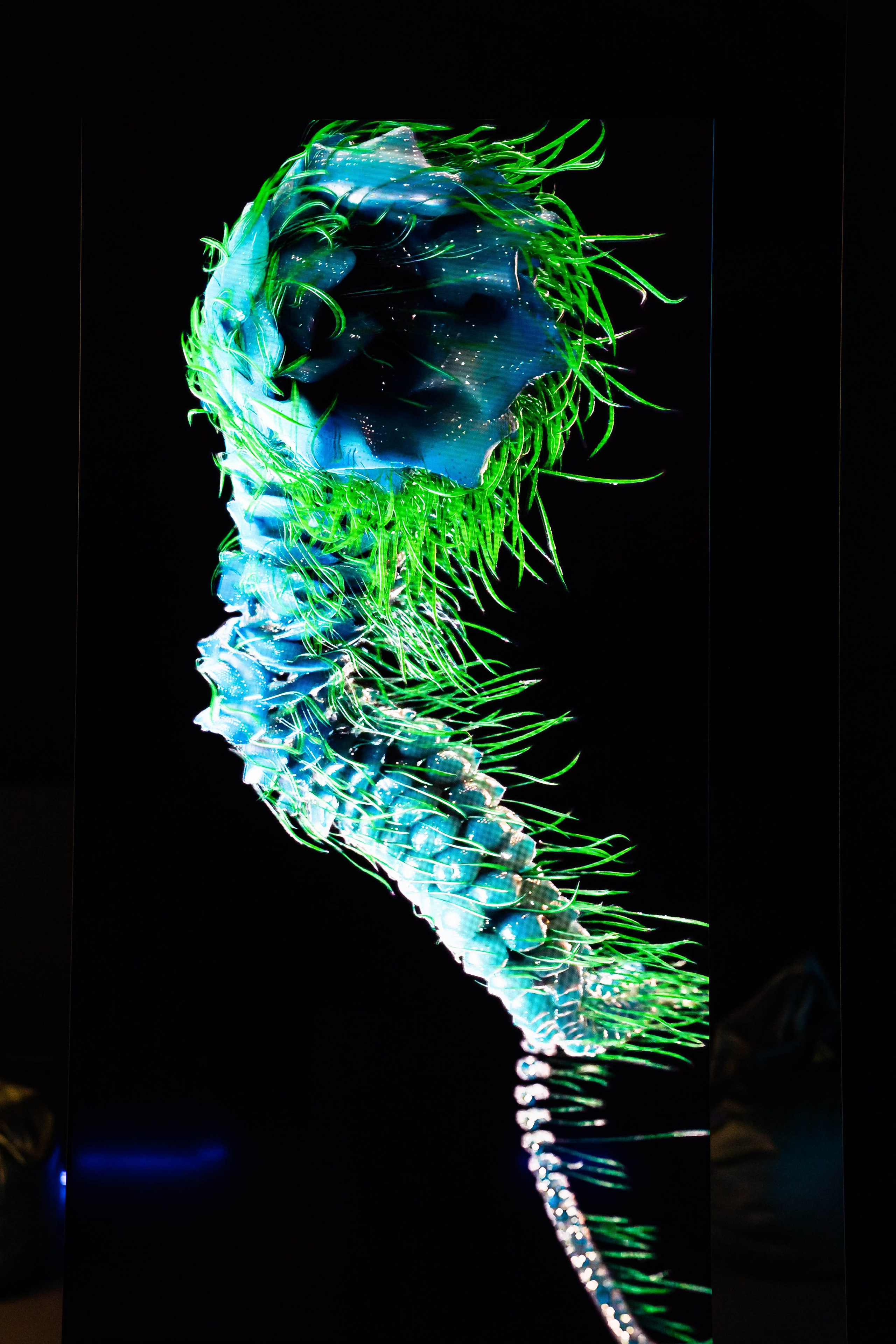 MARS. Фотограф Абакумова Анастасия