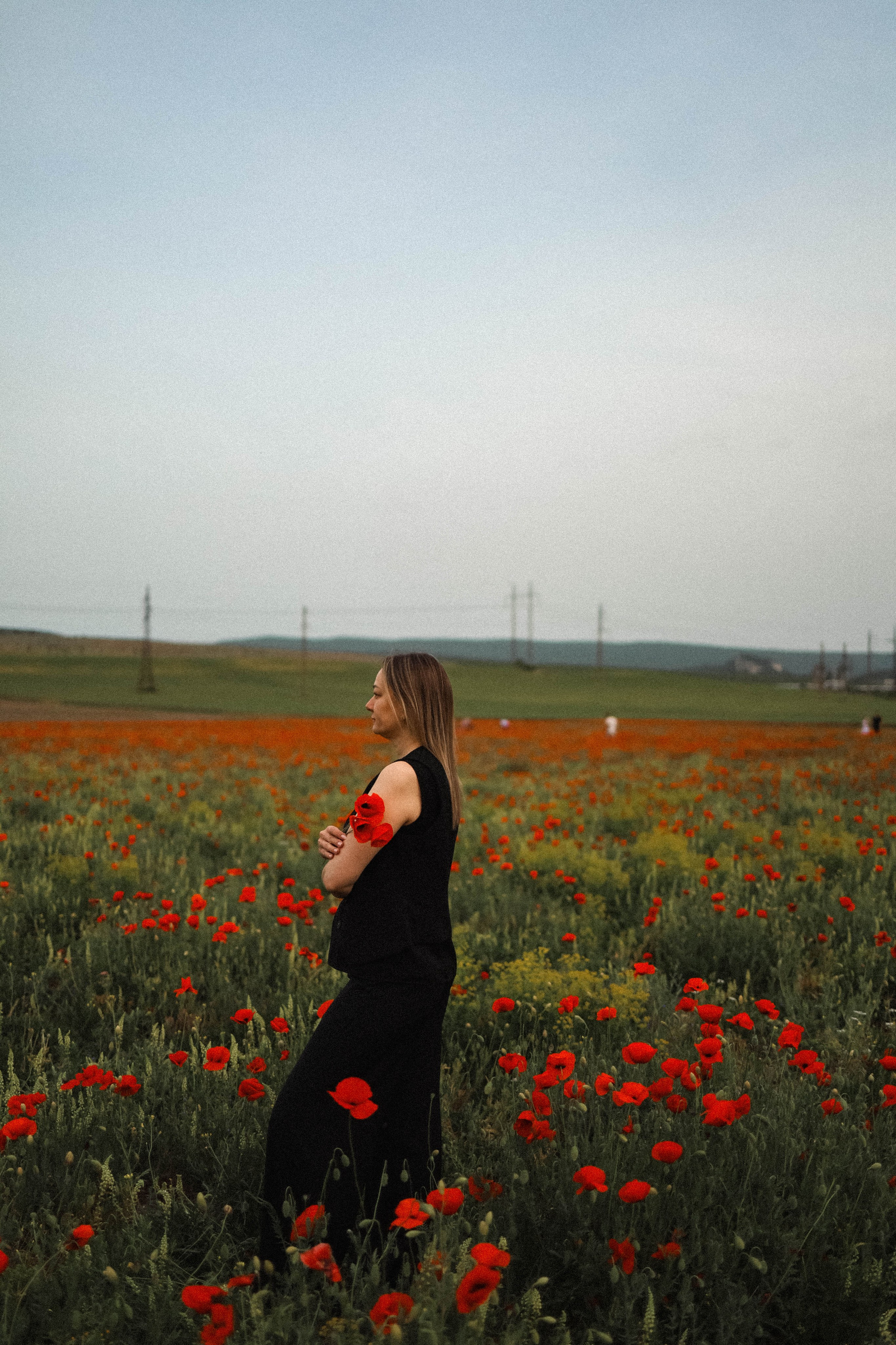 Маки. Фотограф Немазенко Ольга