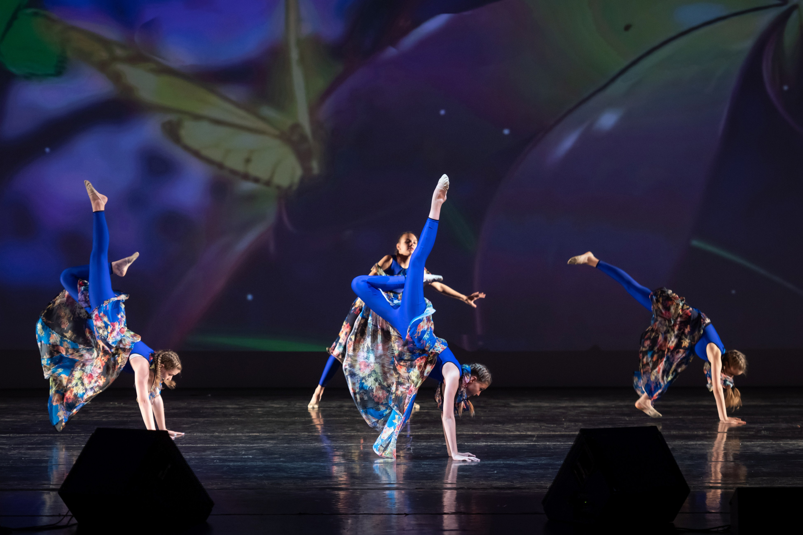 15 сентября, концерт БКЗ. Золотое яблочко