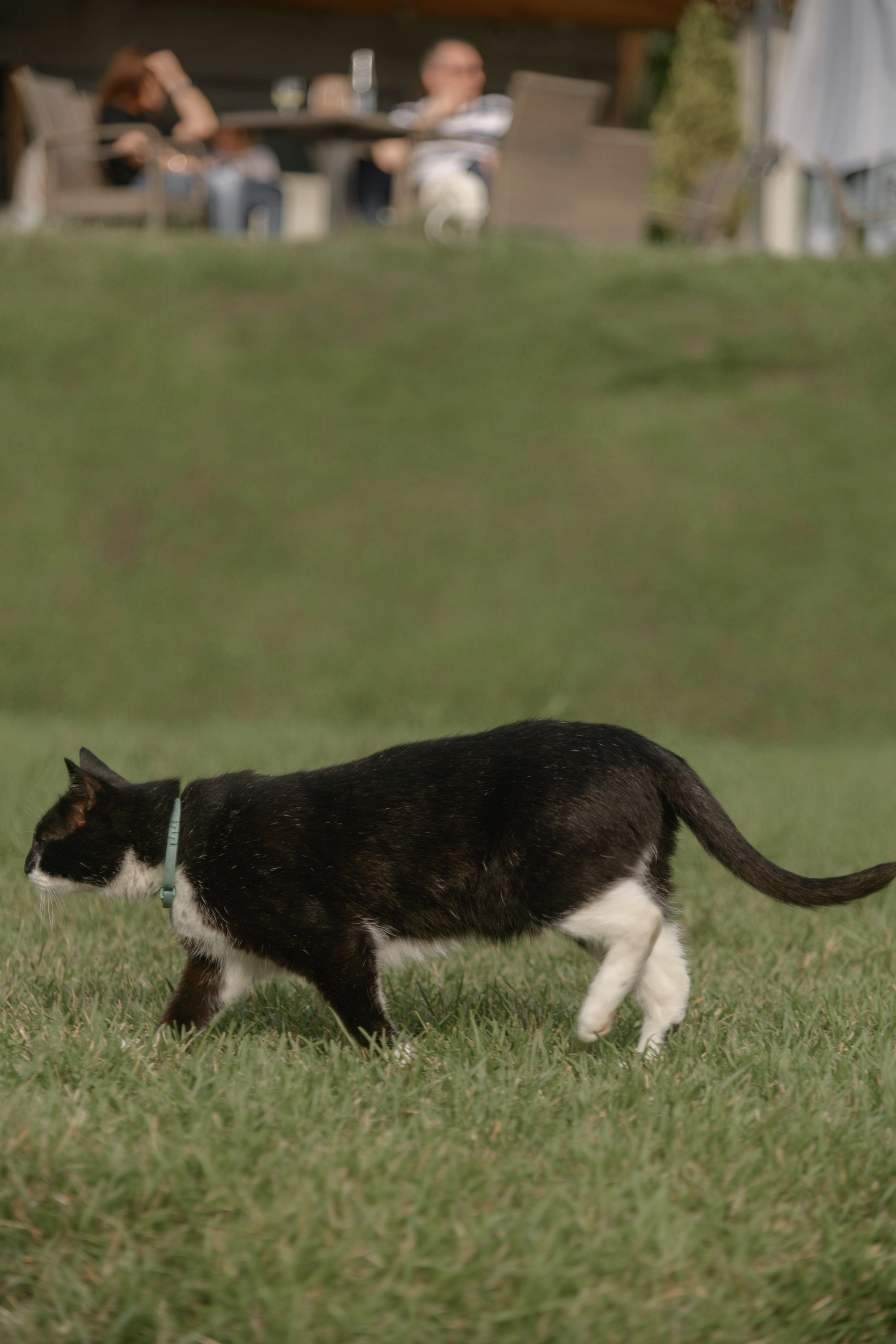 Камилла и Денис. Фотограф Смоляк Алена