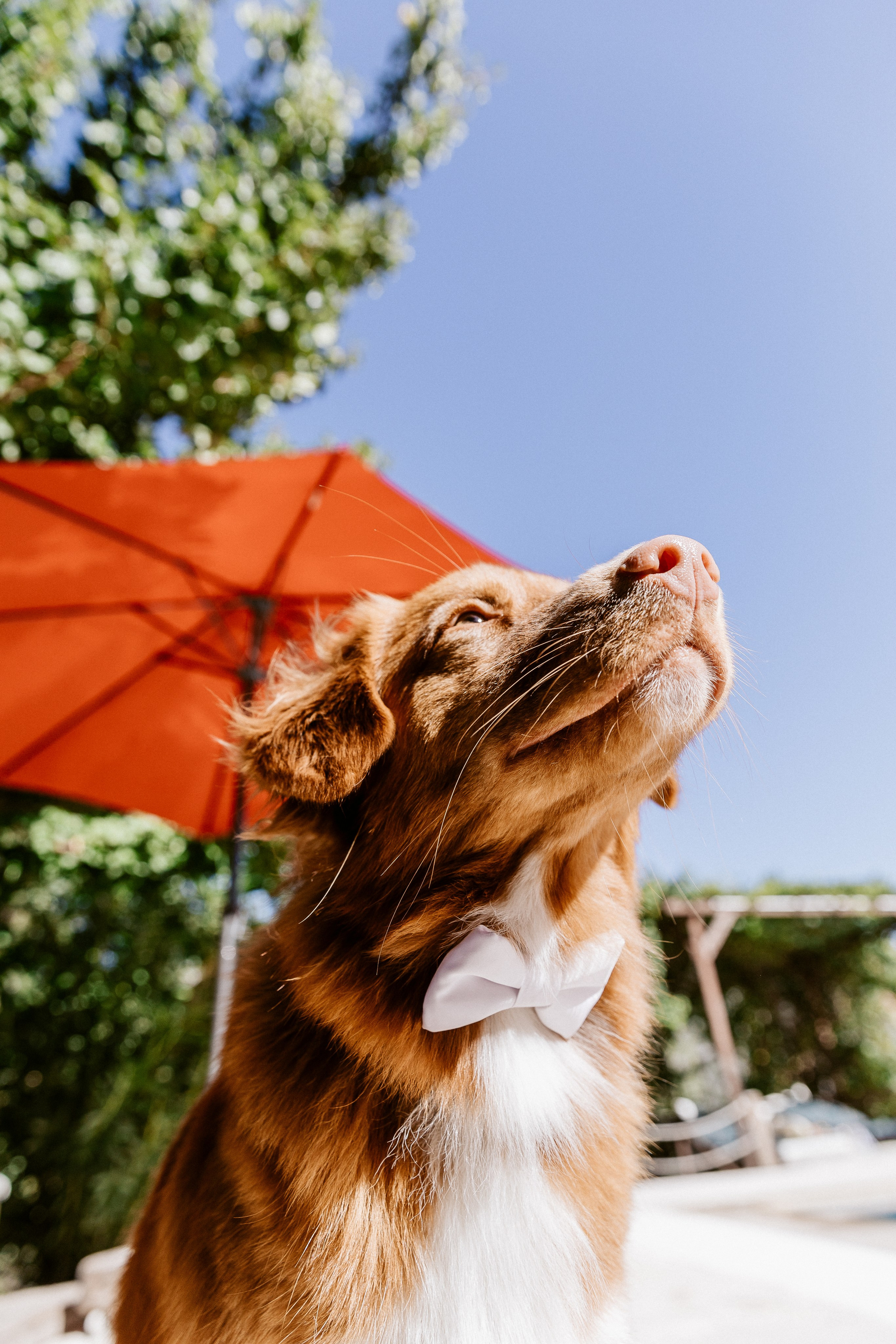 История Таи и Ромы