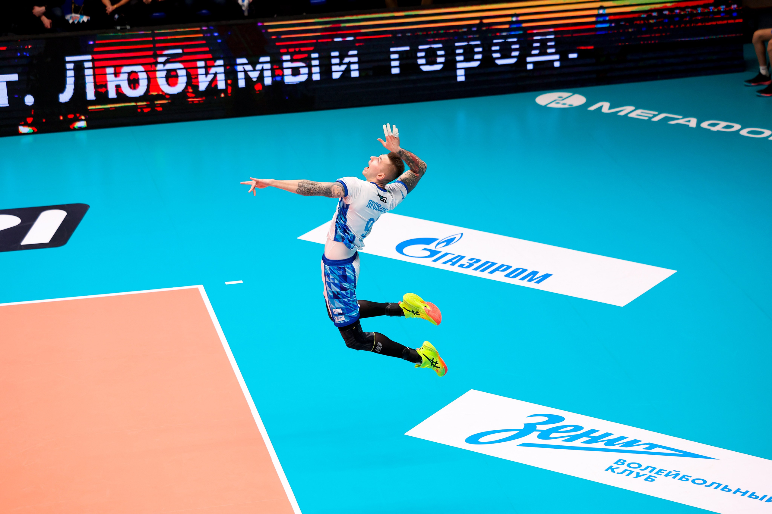 ВК Зенит — ВК АСК 15.03.2025. Спортивный и репортажный фотограф Антон Тереханов