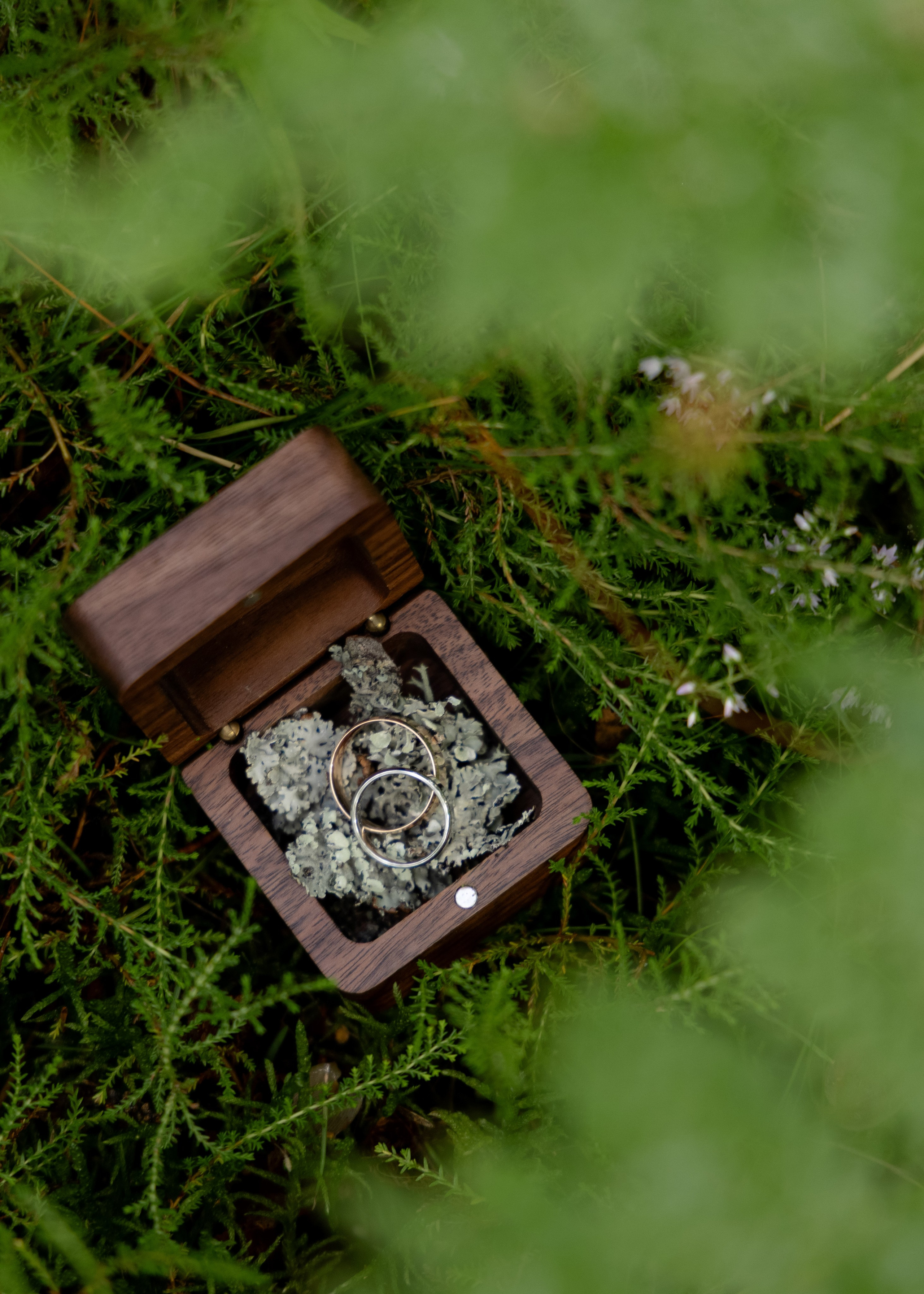 Денис & Дарья | в лесу. Фотограф в Калининграде Сокирко Светлана