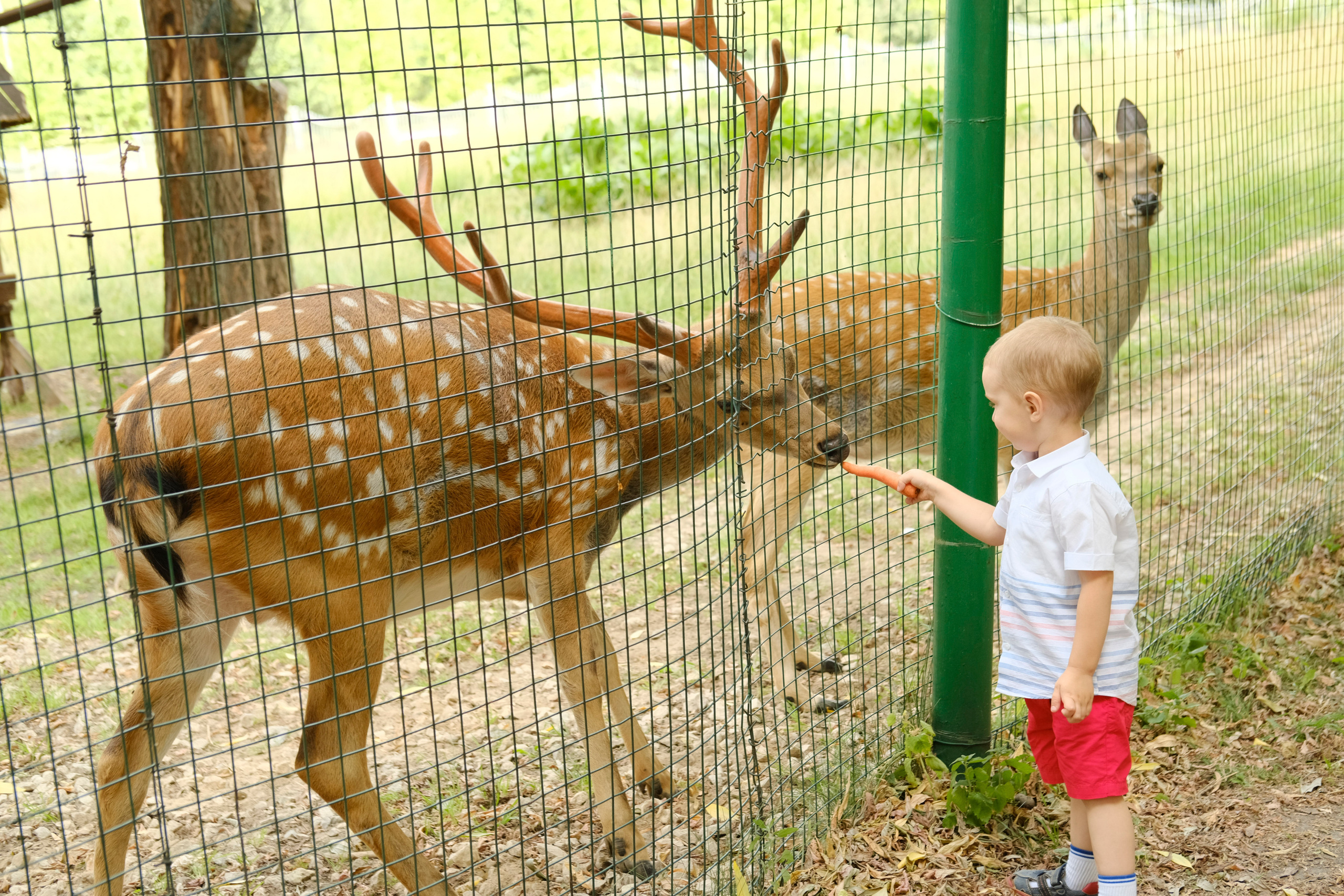День рождения | Лёне 3 года. Любовь Потапова