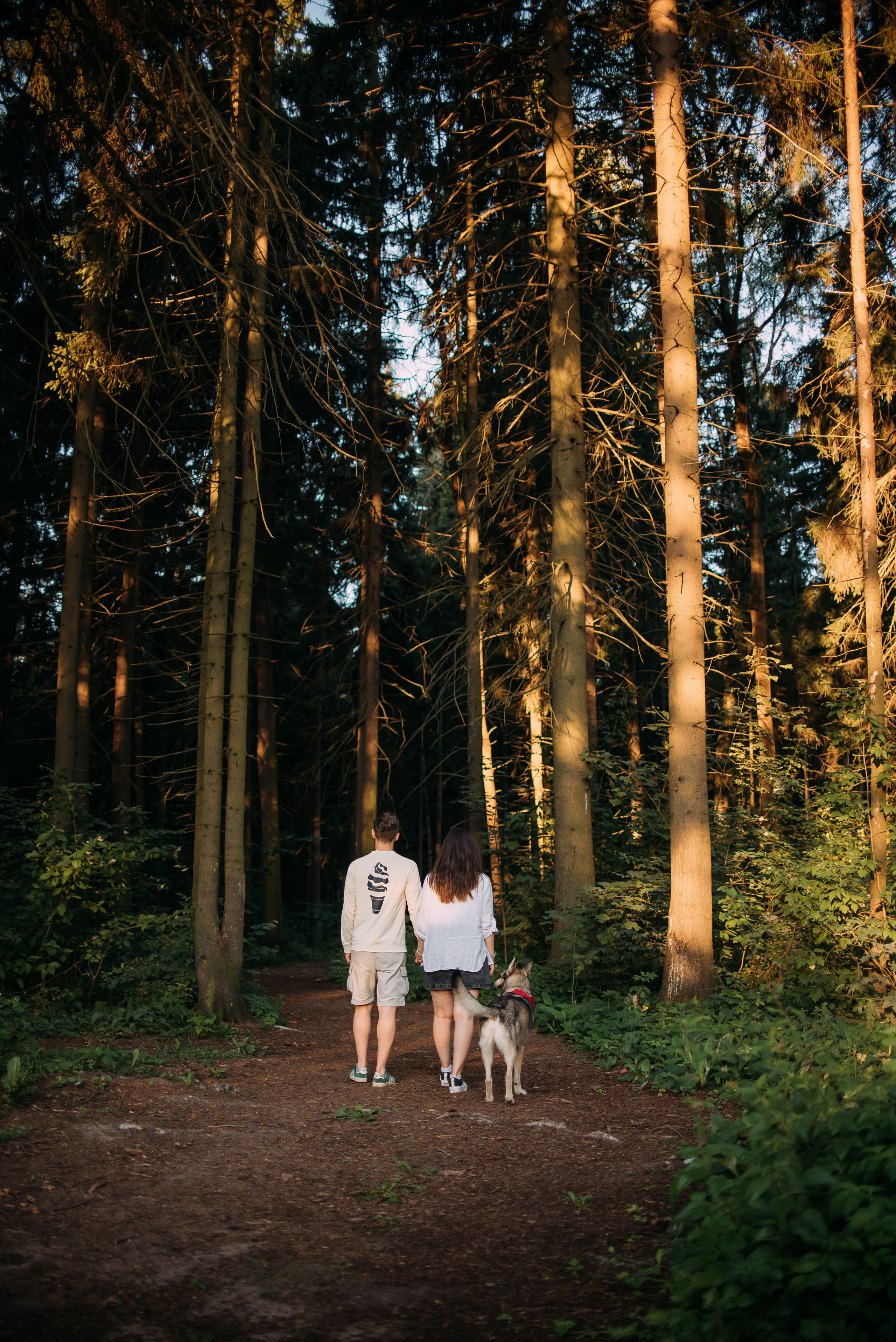 Грэй и его семья. Фотограф-анималист Валерия, Москва, Мытищи