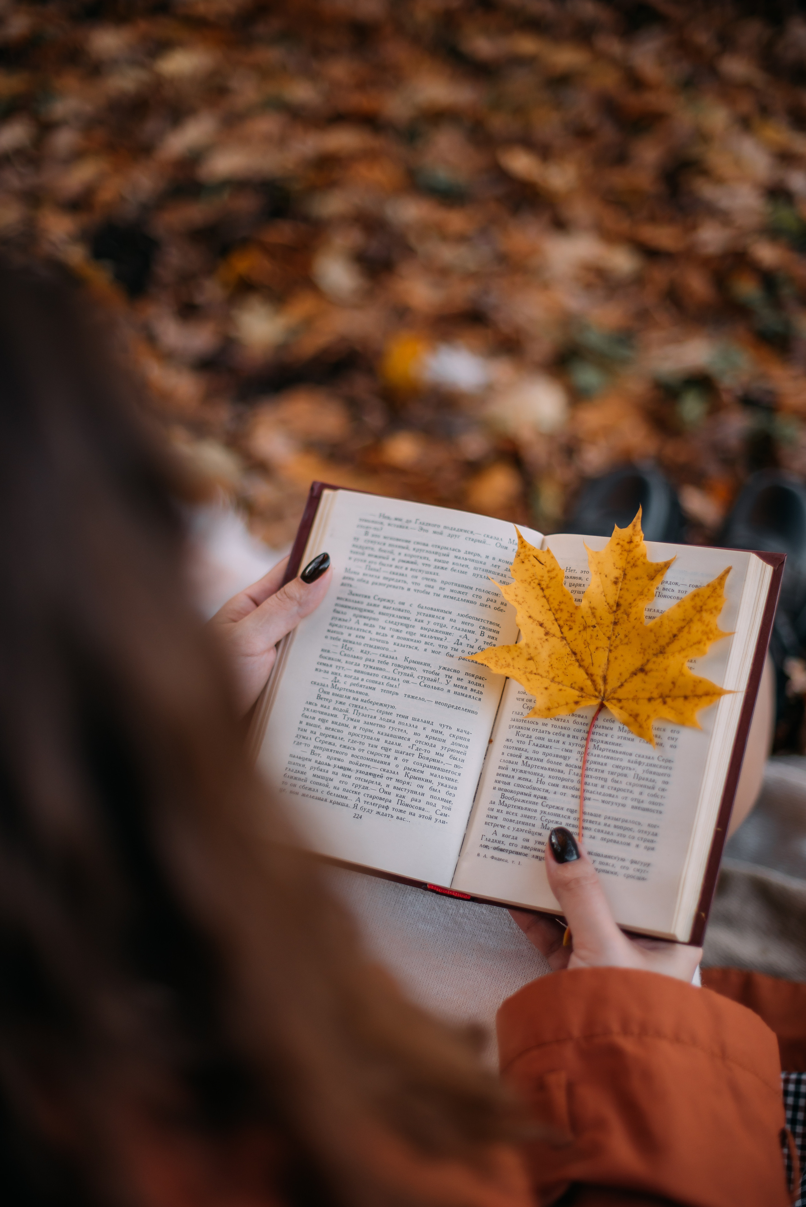 Света и Лида. Фотограф-анималист Валерия, Москва, Мытищи
