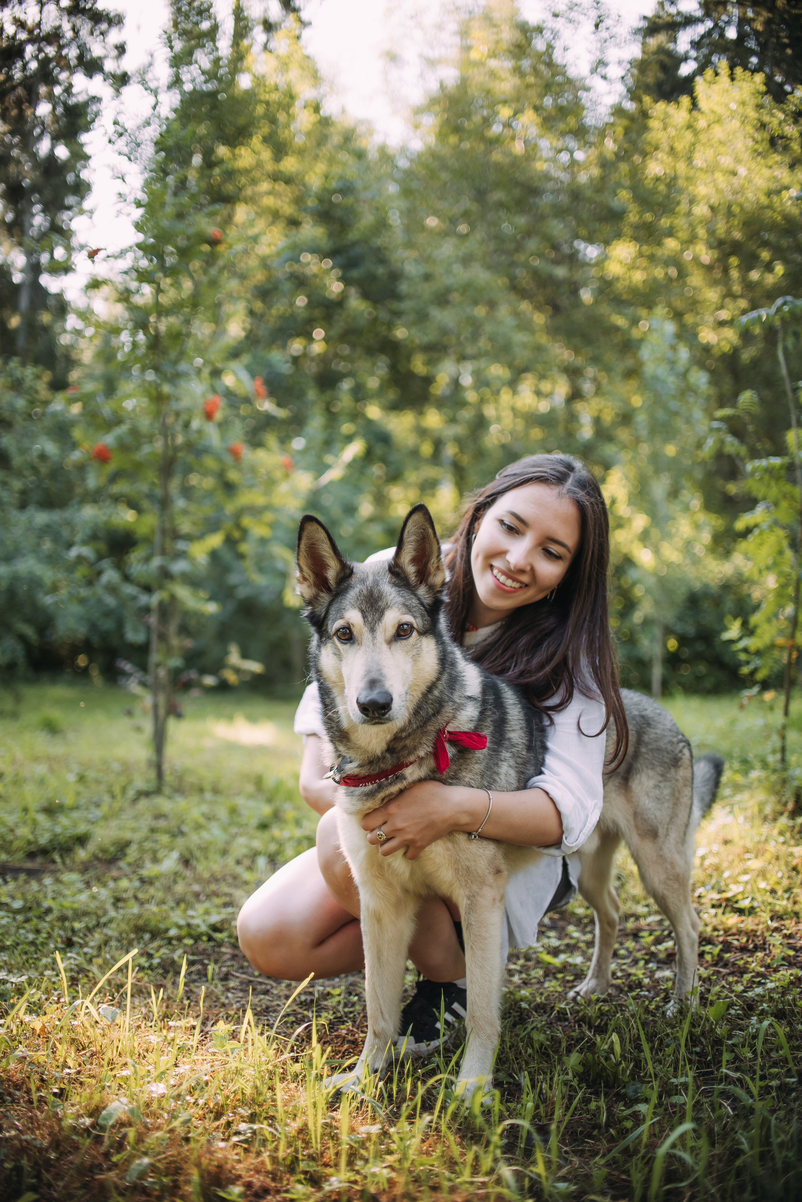 Грэй и его семья. Фотограф-анималист Валерия, Москва, Мытищи