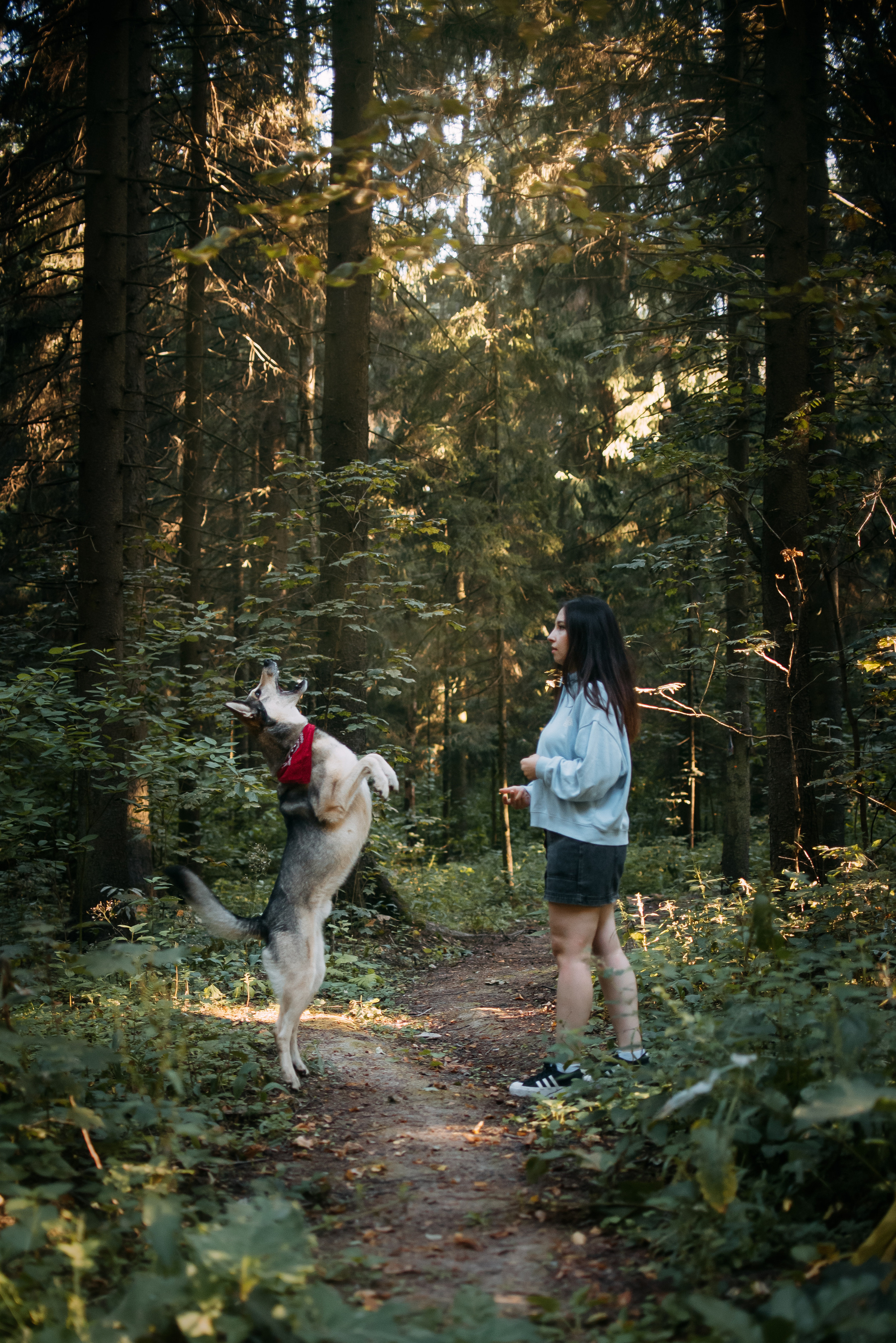 Грэй и его семья. Фотограф-анималист Валерия, Москва, Мытищи