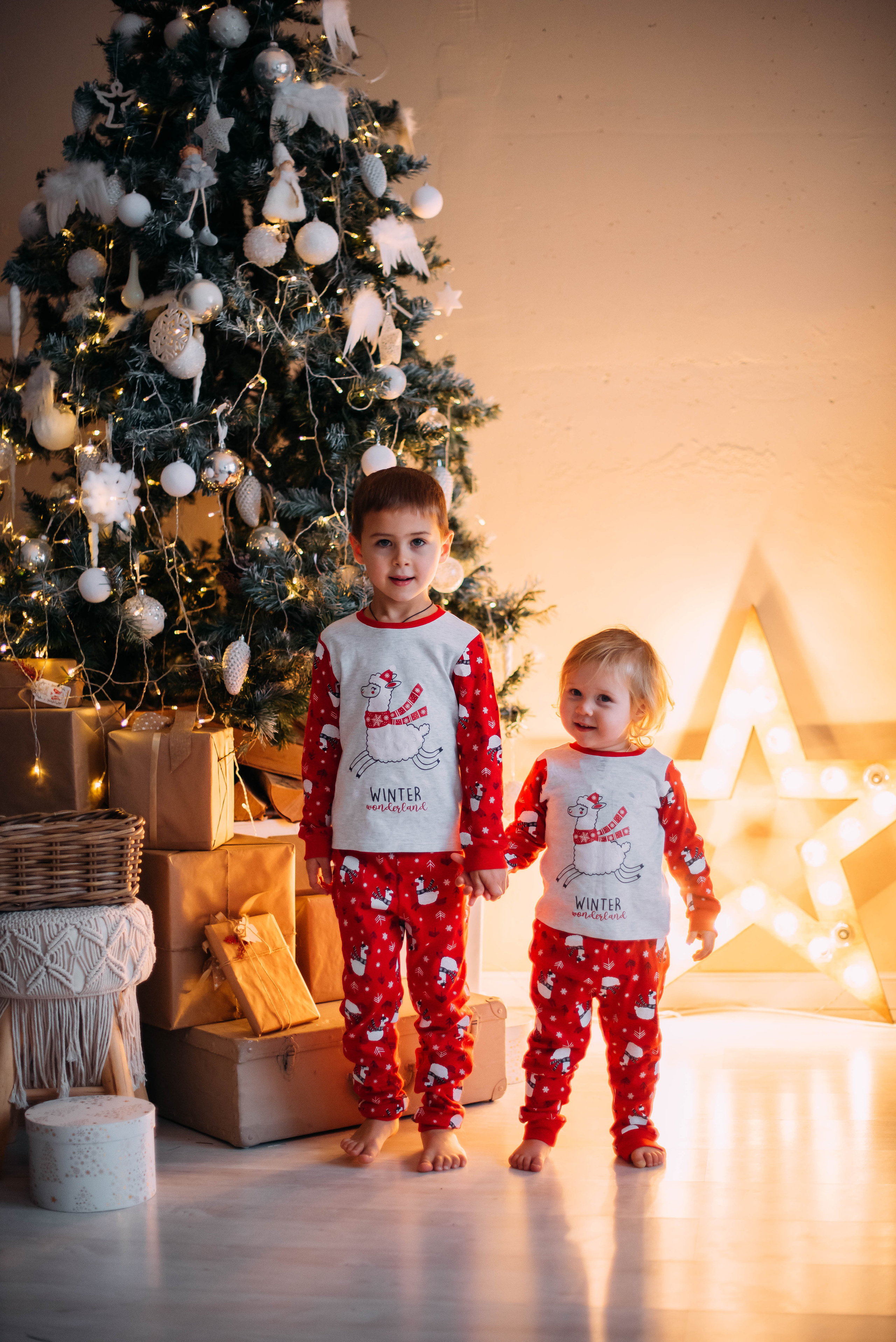 Женя, Марина, Миша и Лера. Фотограф-анималист Валерия, Москва, Мытищи