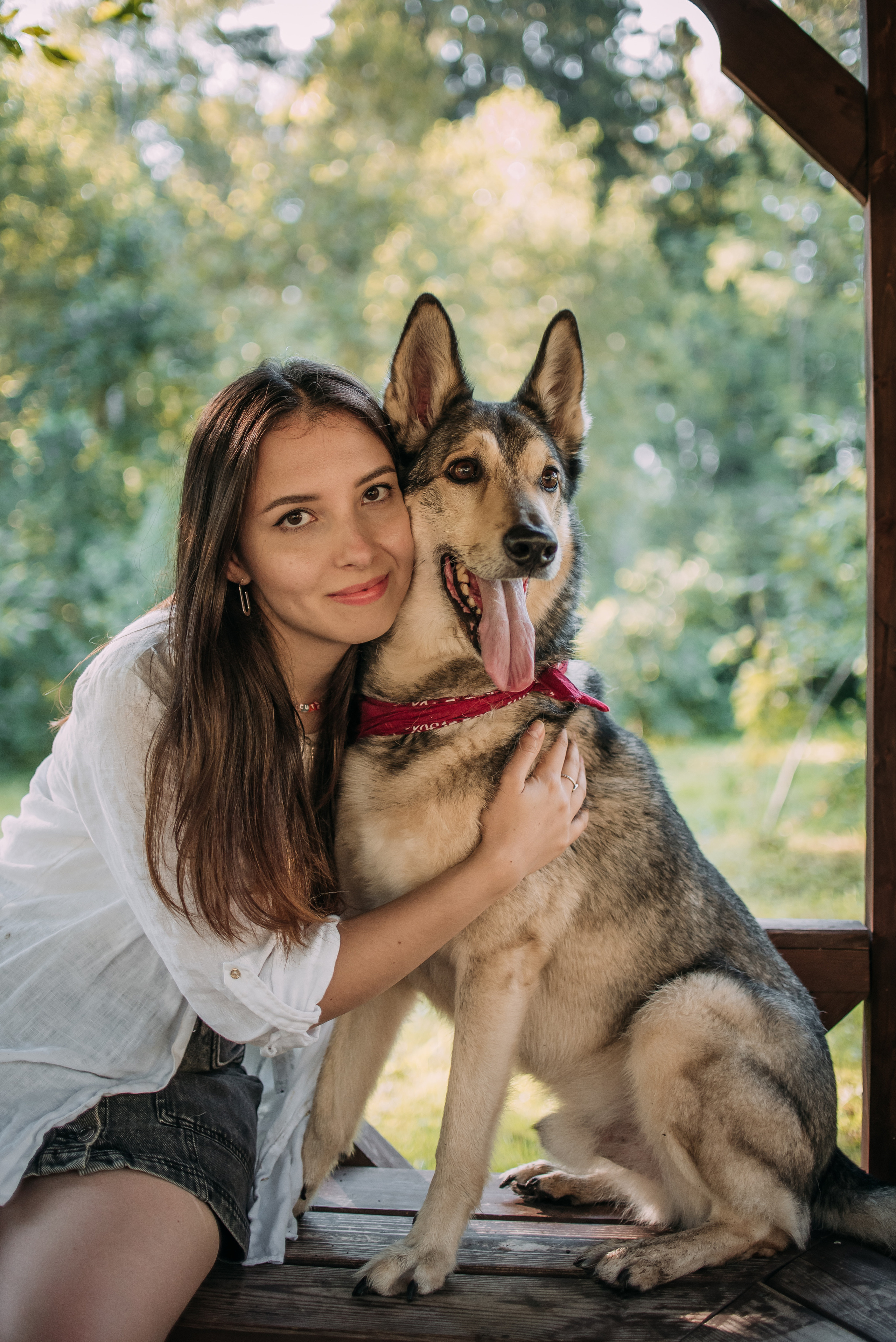 Грэй и его семья. Фотограф-анималист Валерия, Москва, Мытищи