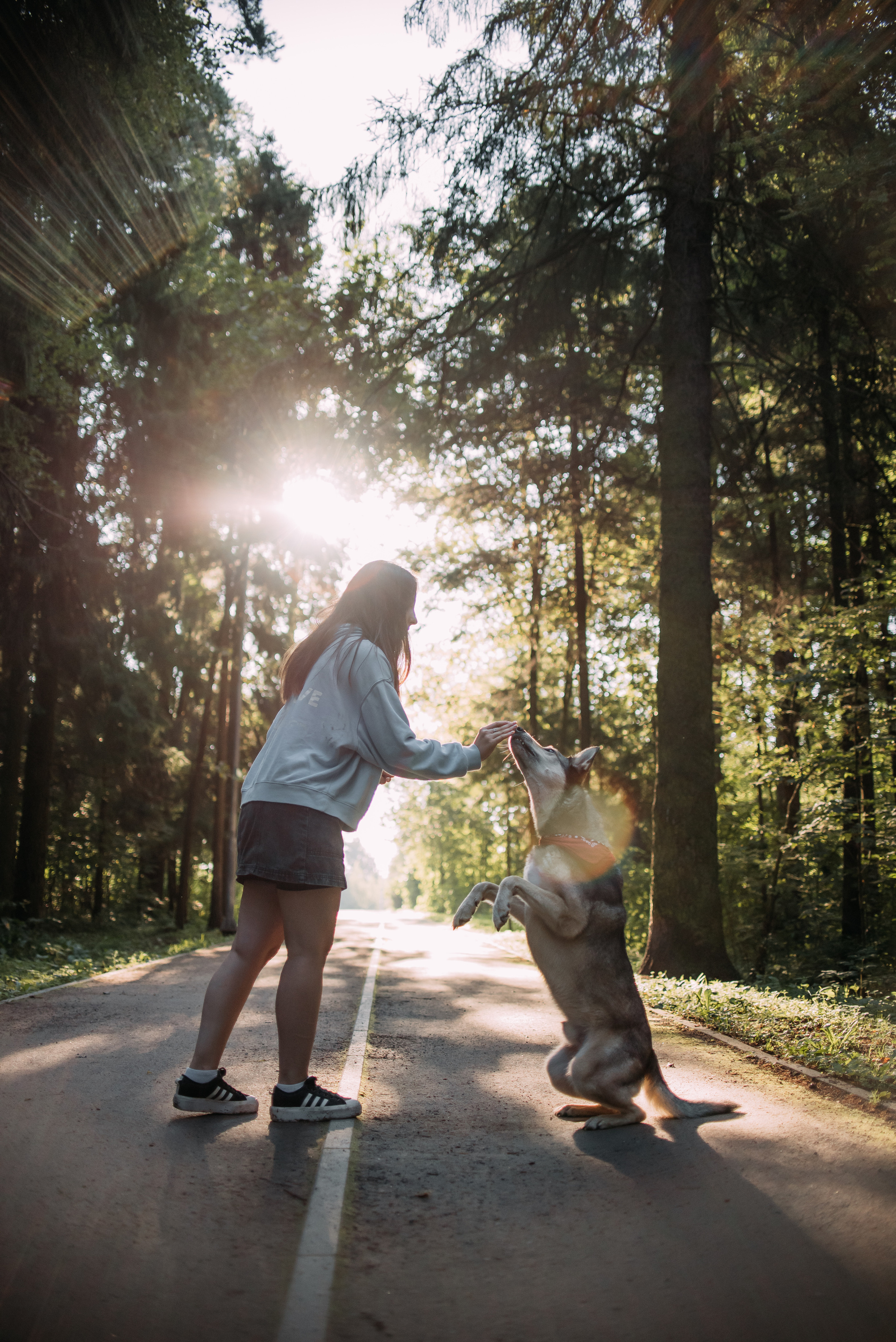 Грэй и его семья. Фотограф-анималист Валерия, Москва, Мытищи