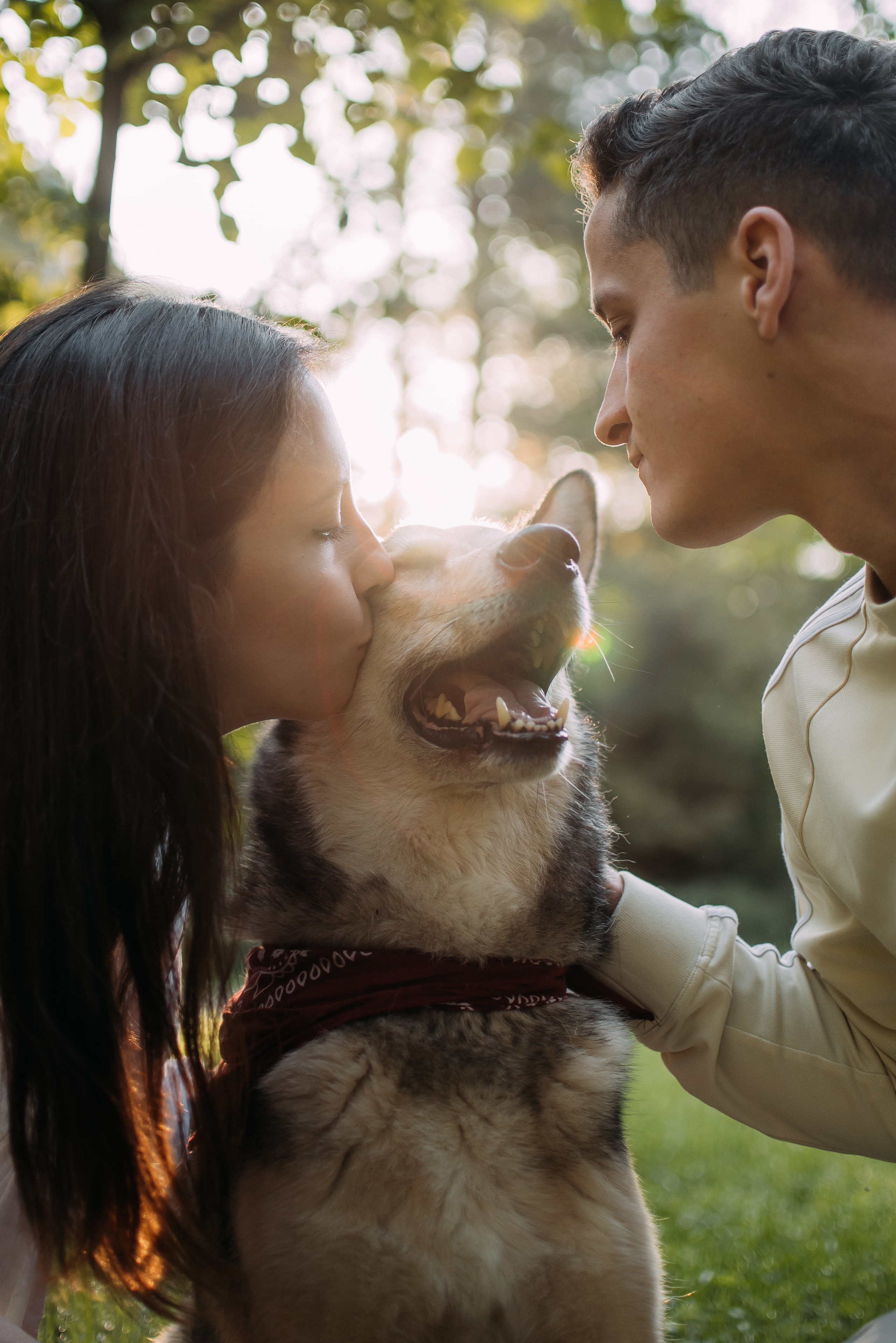 Грэй и его семья. Фотограф-анималист Валерия, Москва, Мытищи