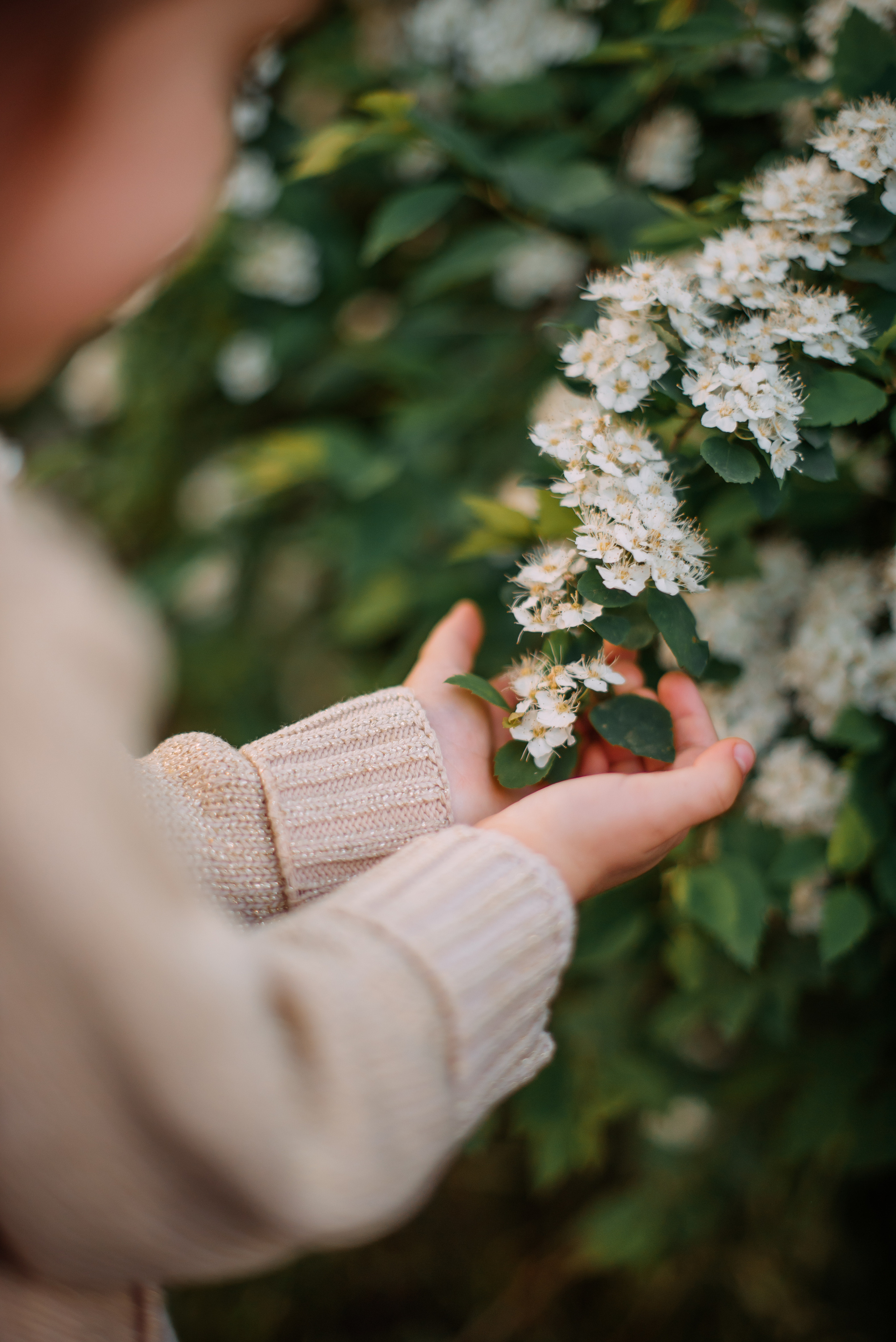 Маша и Настя. Фотограф-анималист Валерия, Москва, Мытищи