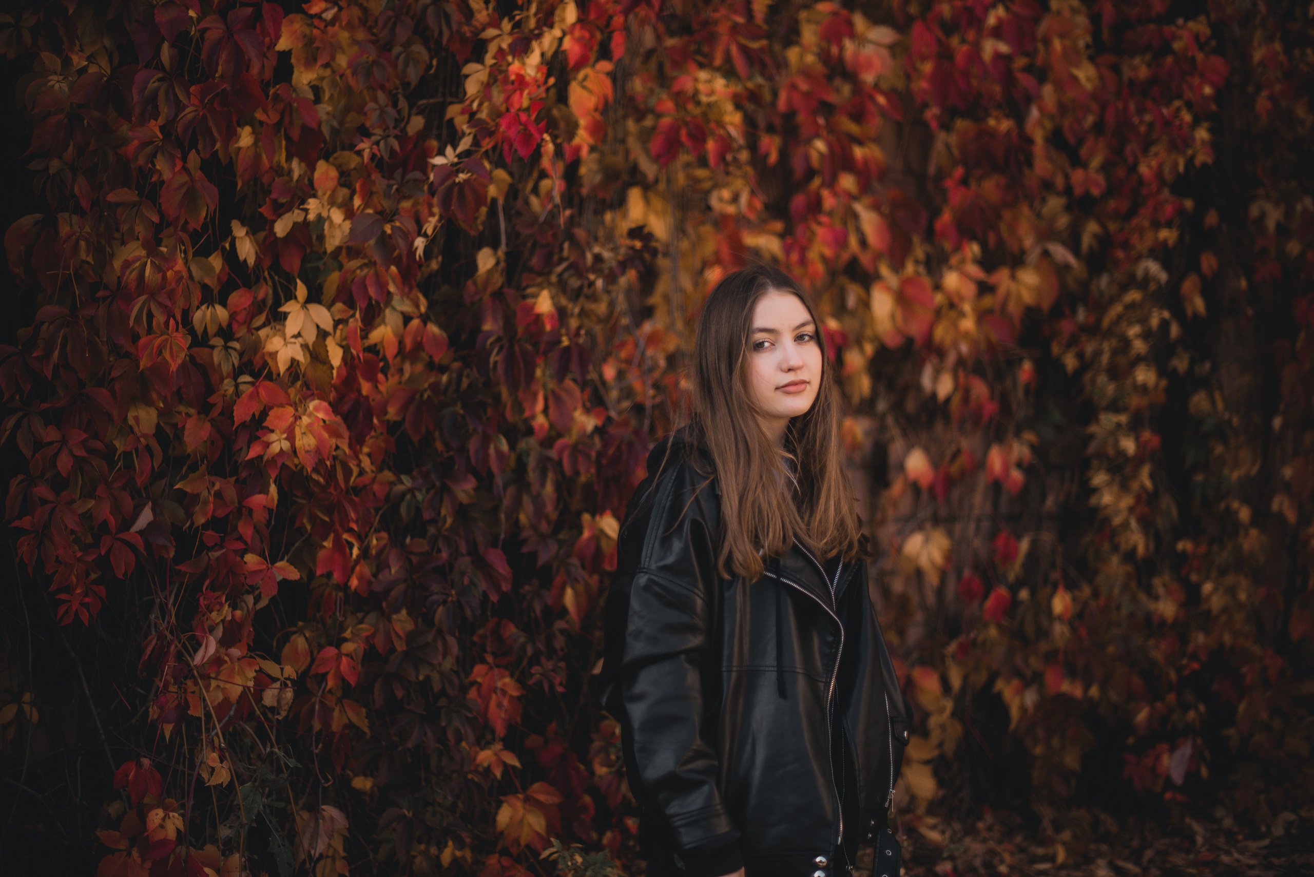 Света и Лида. Фотограф-анималист Валерия, Москва, Мытищи