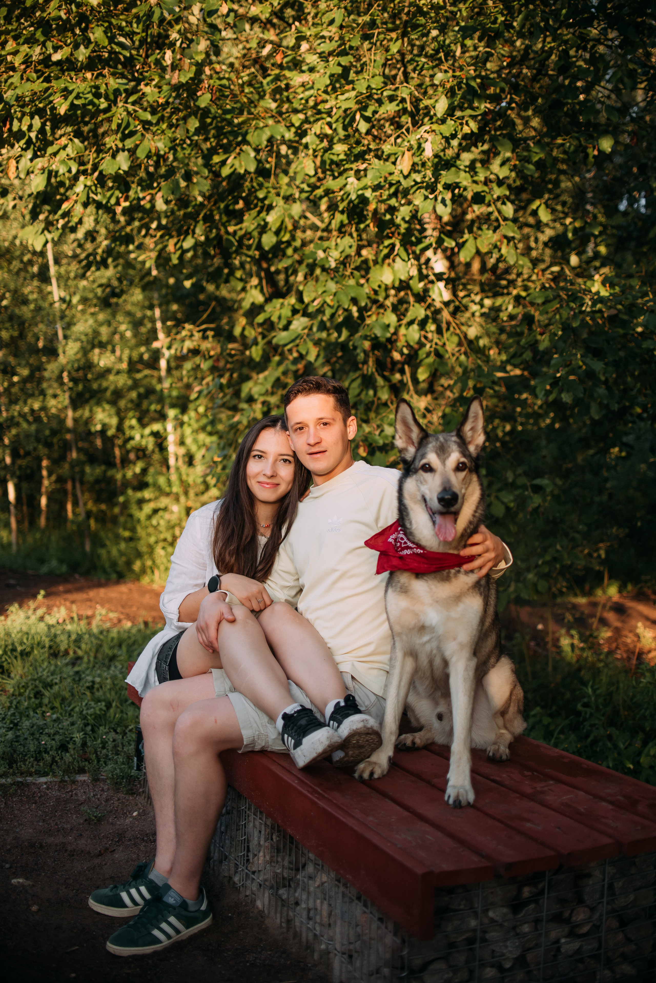 Грэй и его семья. Фотограф-анималист Валерия, Москва, Мытищи