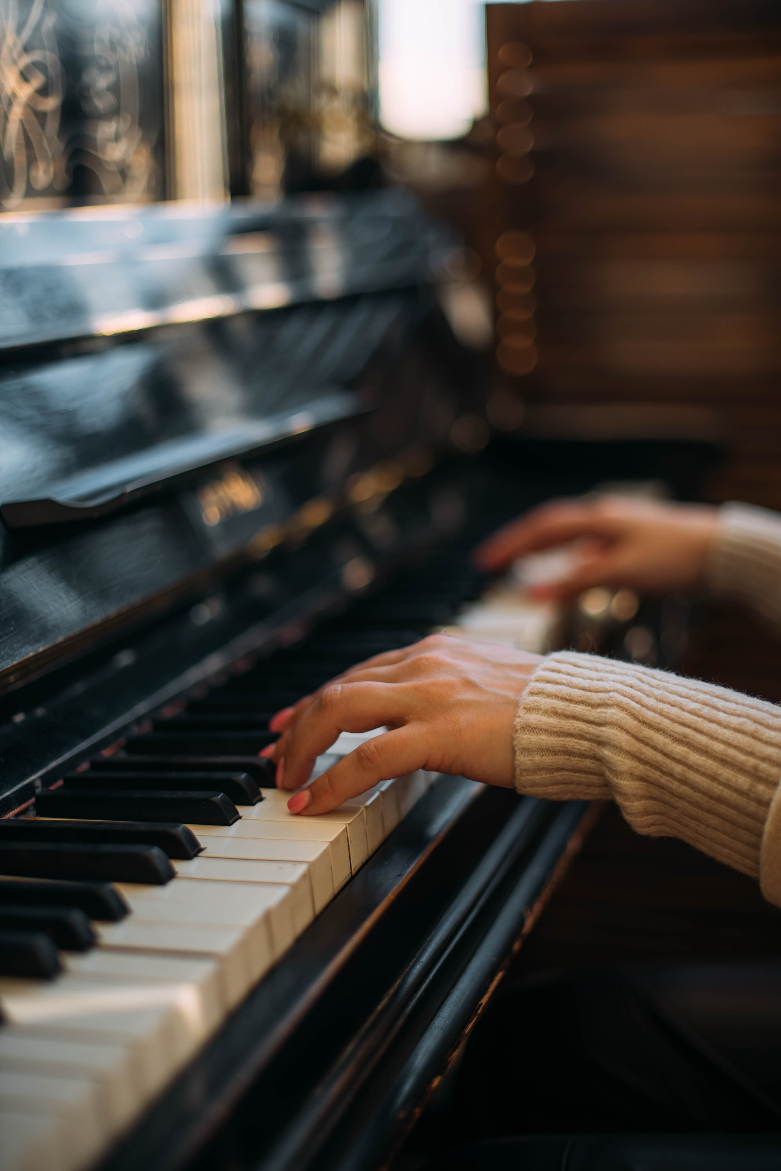 Света и Лида. Фотограф-анималист Валерия, Москва, Мытищи