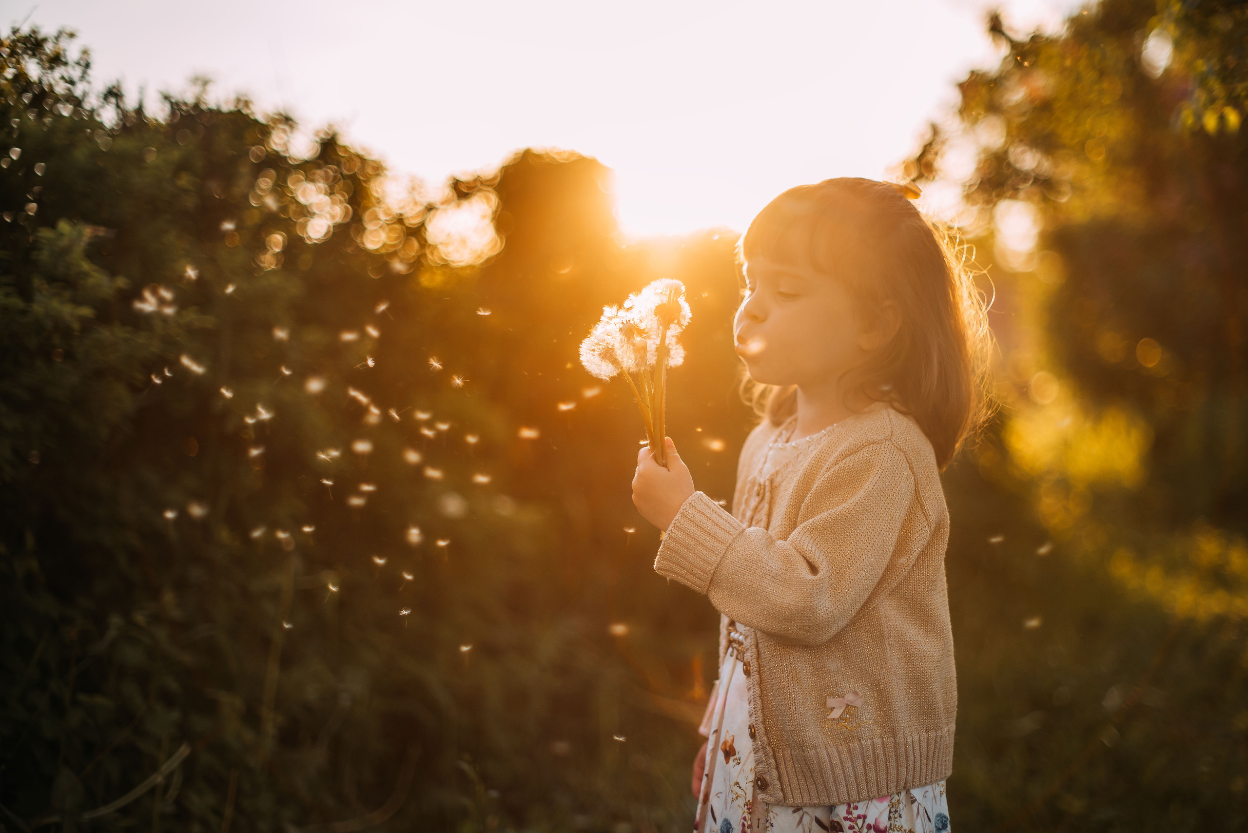Маша и Настя. Фотограф-анималист Валерия, Москва, Мытищи