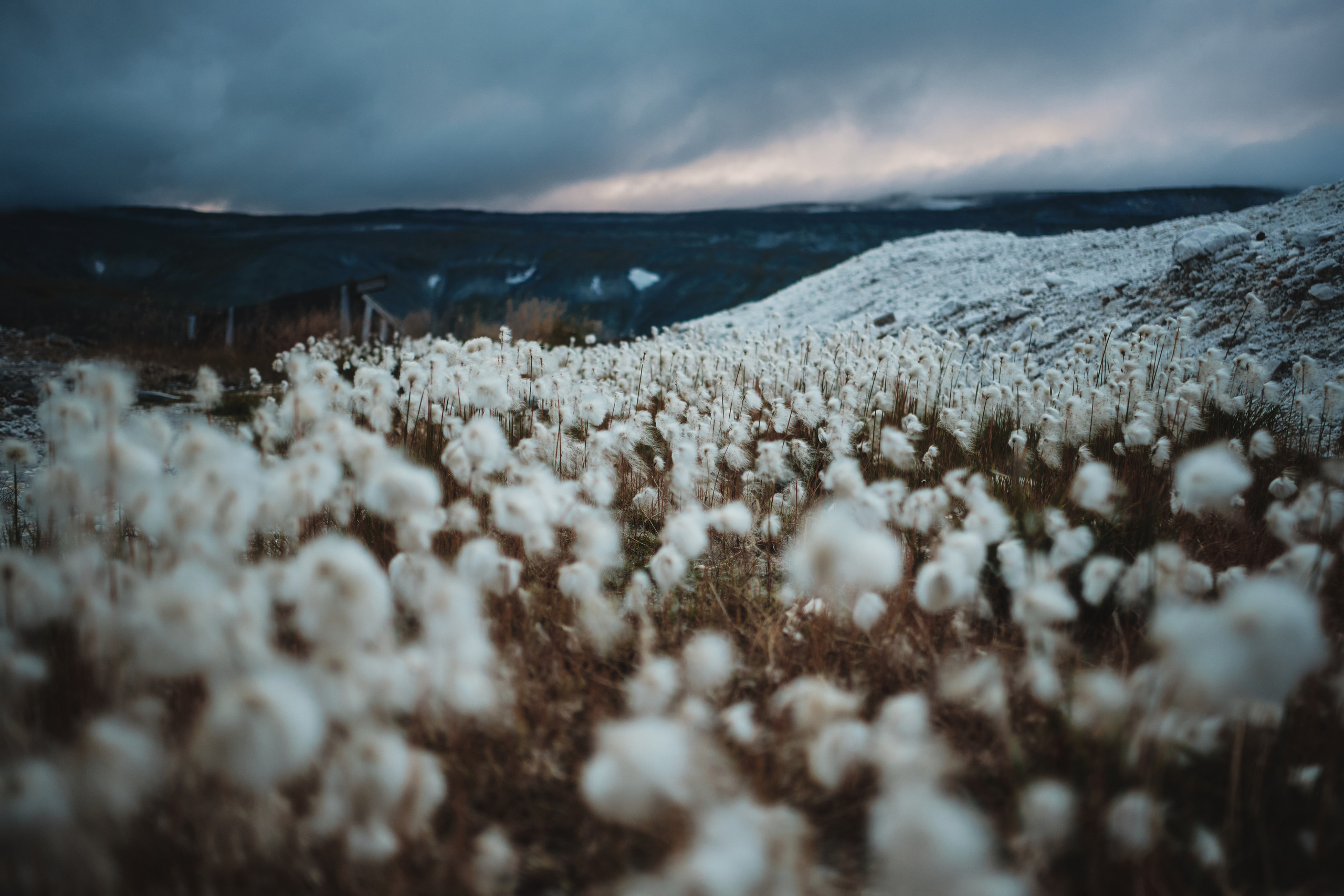 Приполярный Урал. Andrew Sozonov visual artist