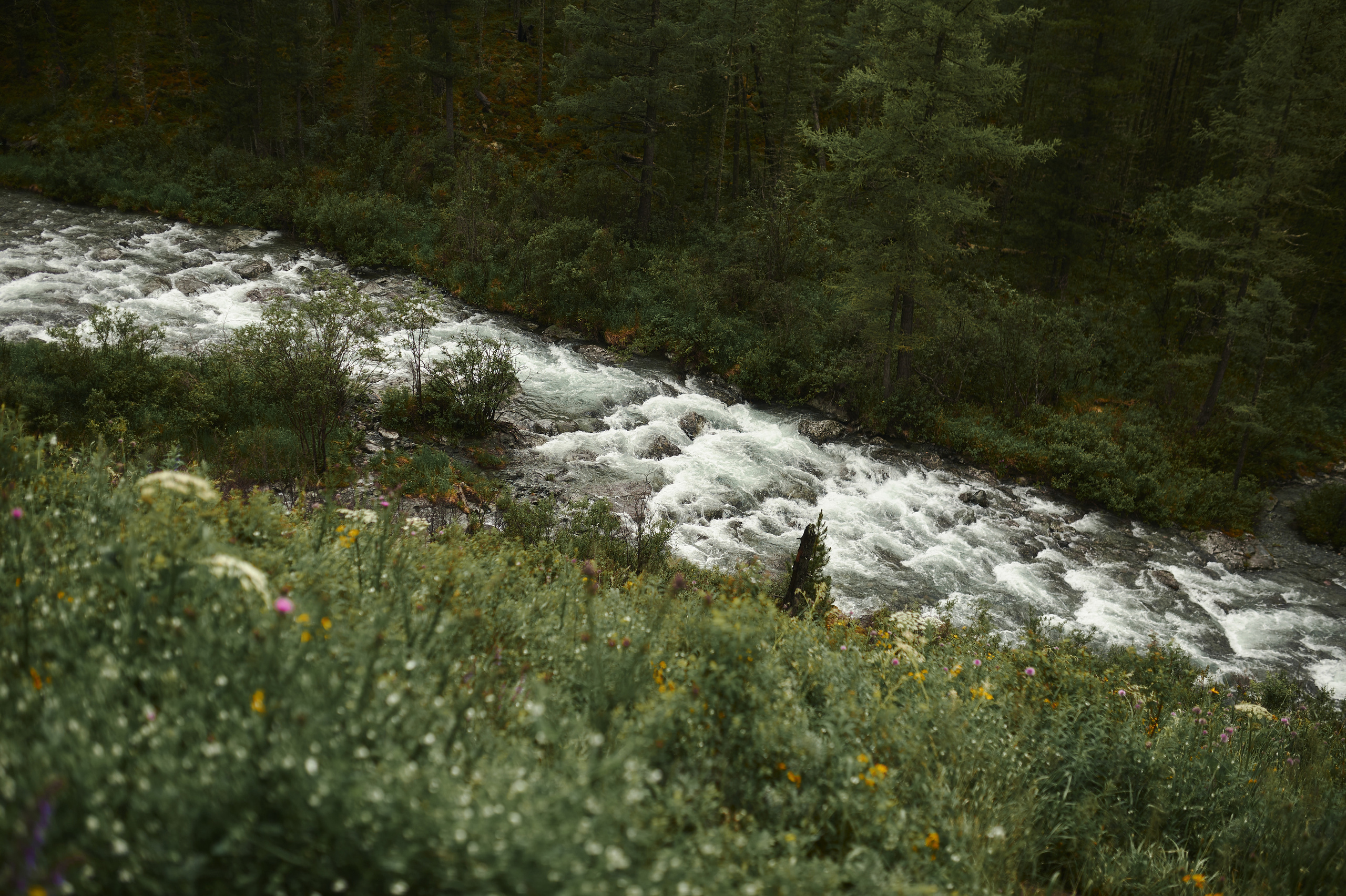 Алтай. Поход к озеру Куйгук и Акчан. Andrew Sozonov visual artist