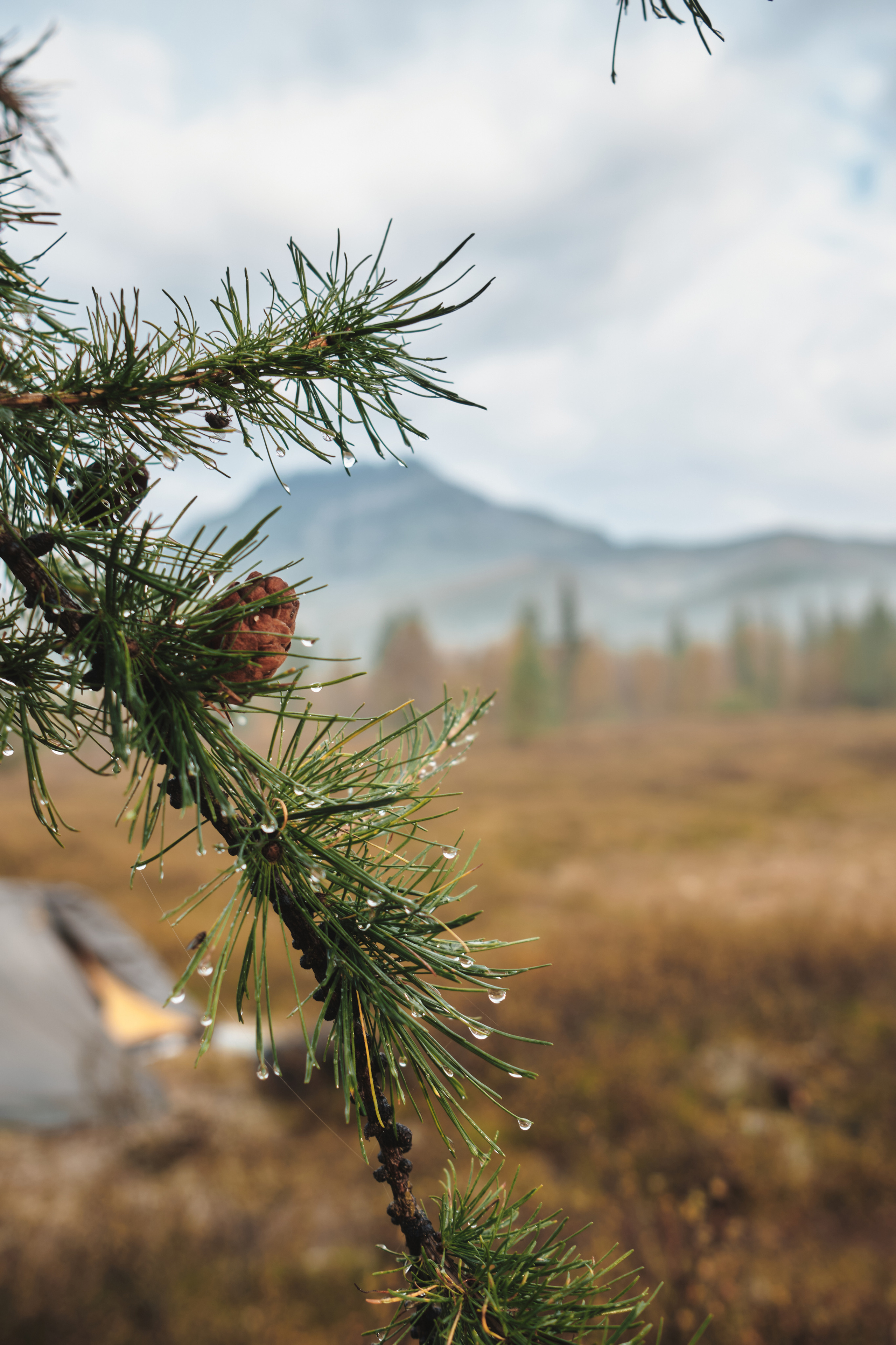 Приполярный Урал. Andrew Sozonov visual artist