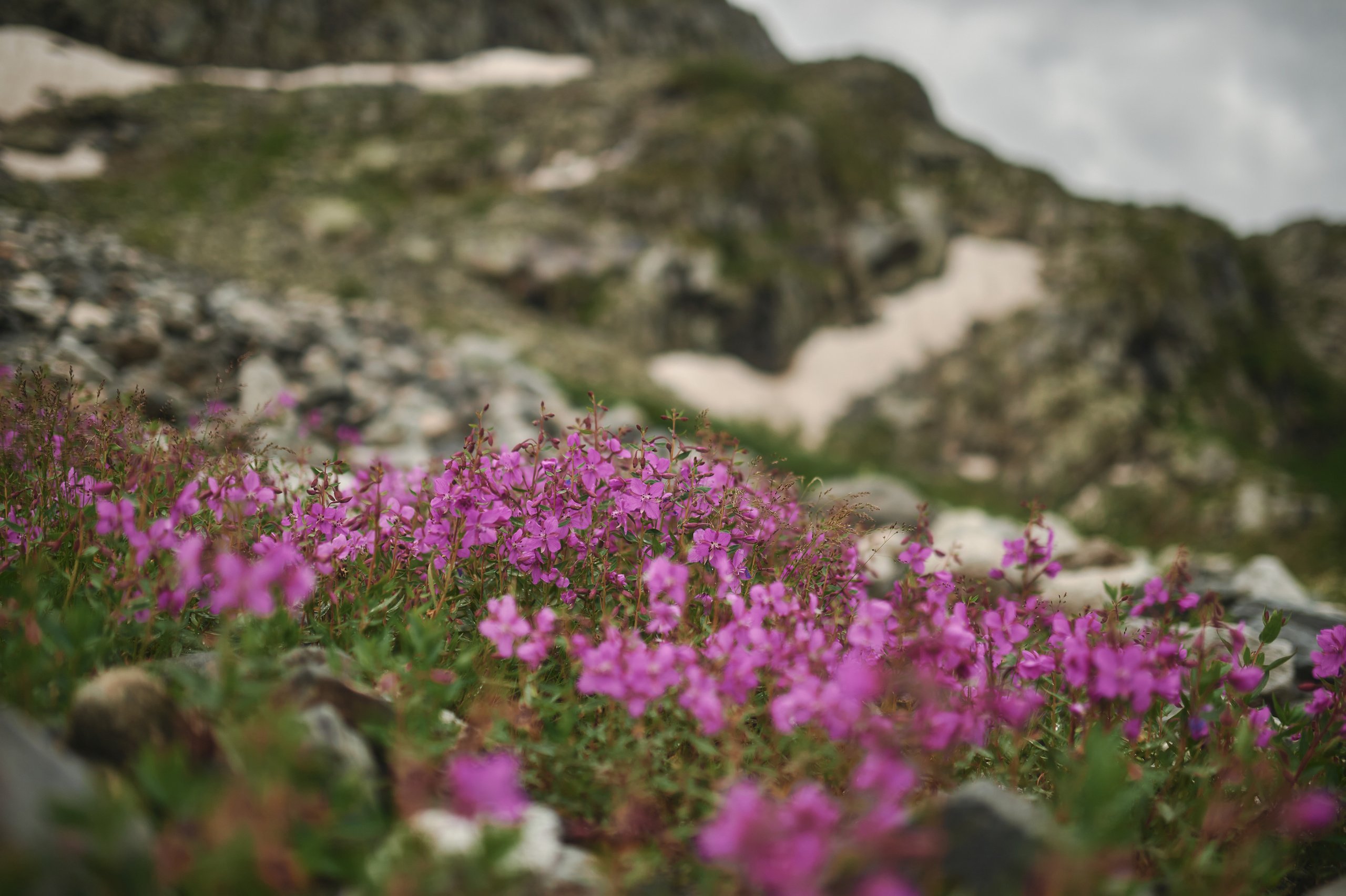 Алтай. Поход к озеру Куйгук и Акчан. Andrew Sozonov visual artist