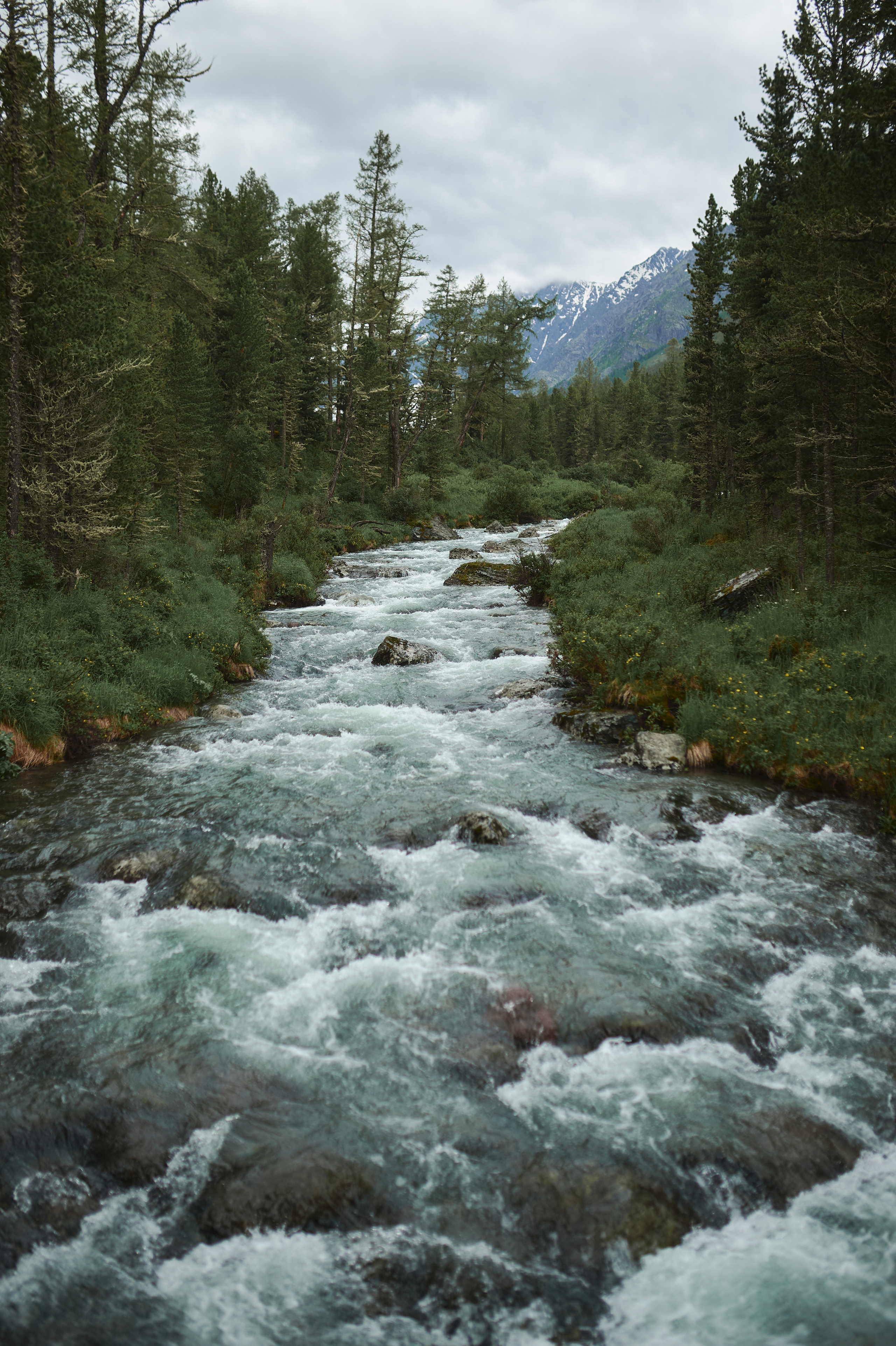 Алтай. Поход к озеру Куйгук и Акчан. Andrew Sozonov visual artist