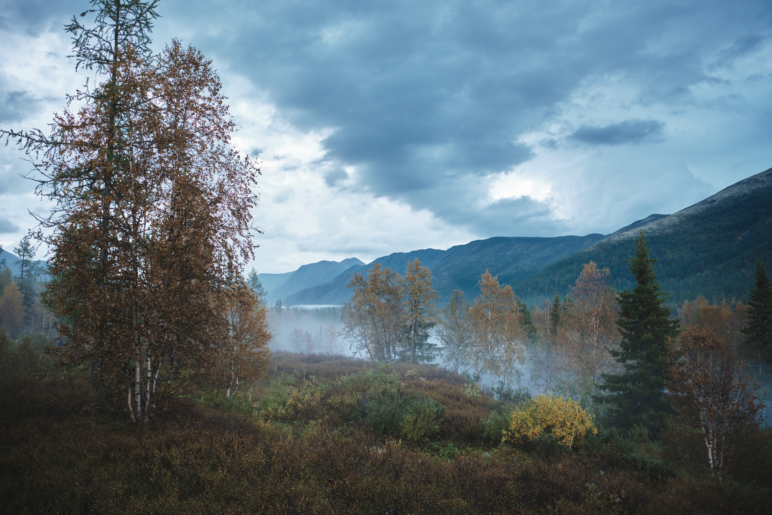 Приполярный Урал. Andrew Sozonov visual artist