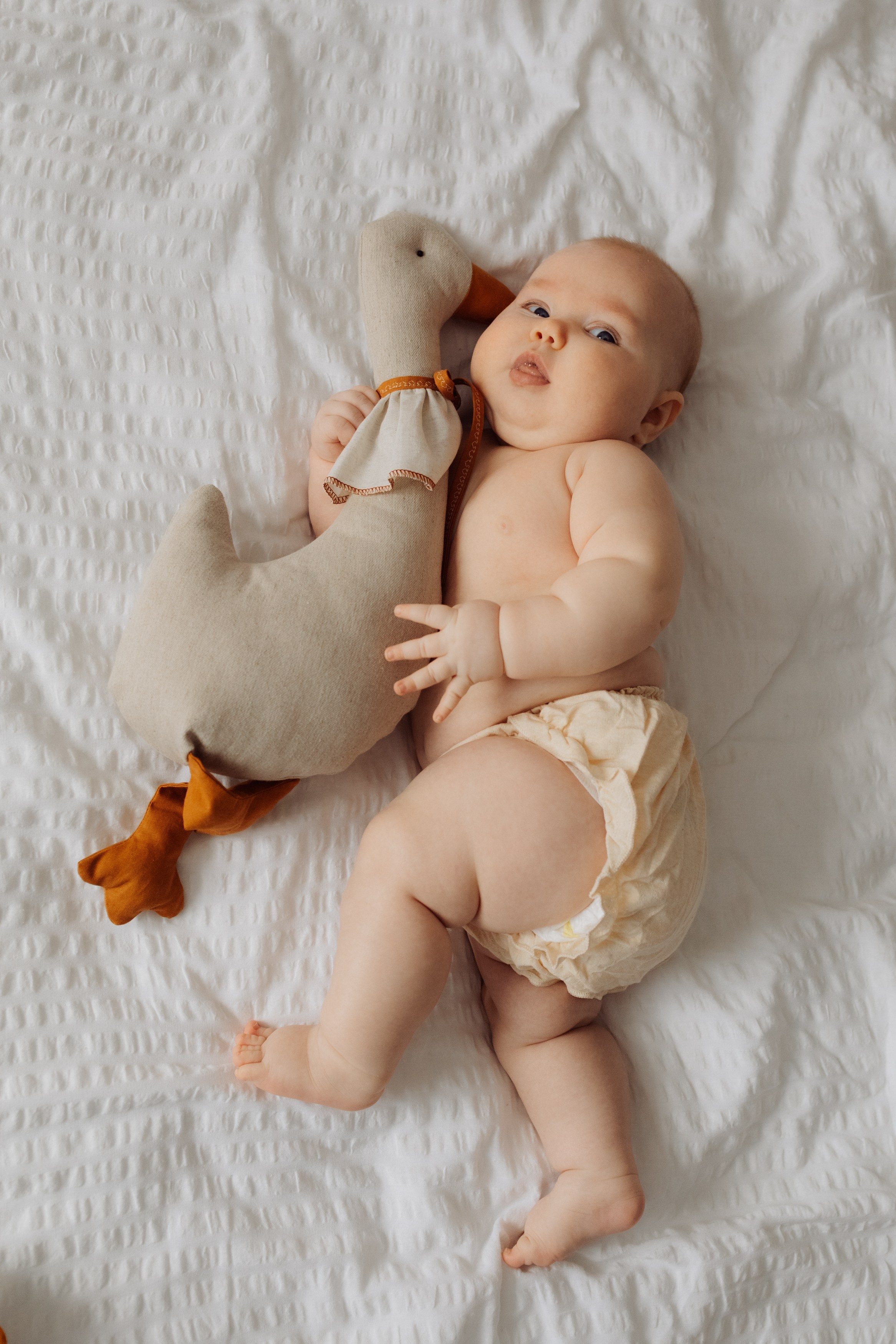 Полиночка 4 месяца. Семейный, ньюборн newborn фотограф, фотограф новорождённых в Санкт-Петербурге, Пушкине, Павловске. Павлова Анастасия