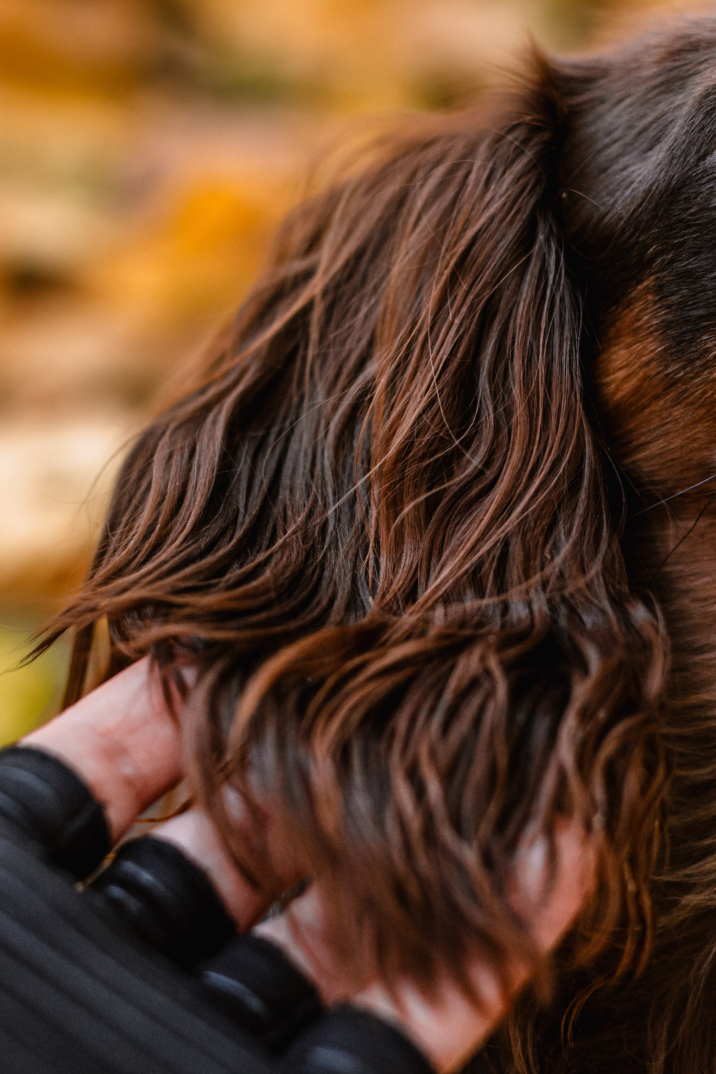 Света, Хайди, Богдана. Фотограф-анималист Татьяна Степанова