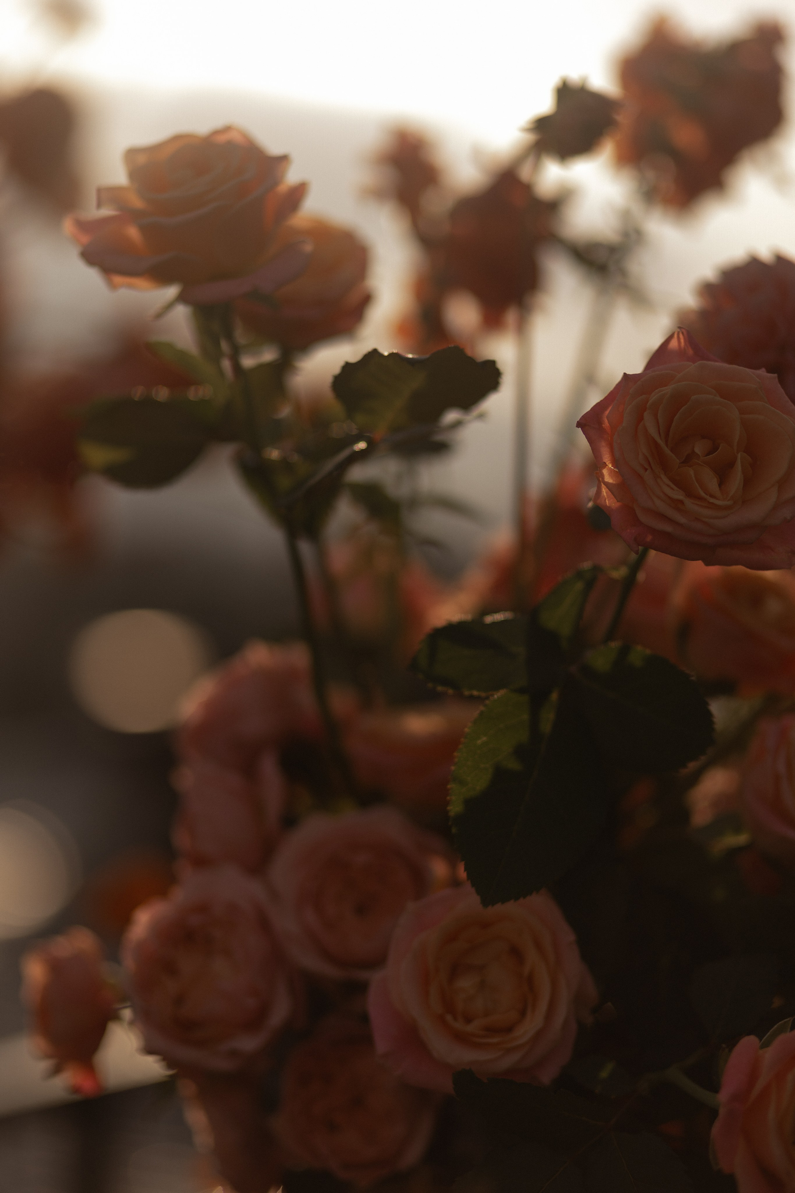 Наталья и Александр. Свадебный фотограф Нижний Новгород