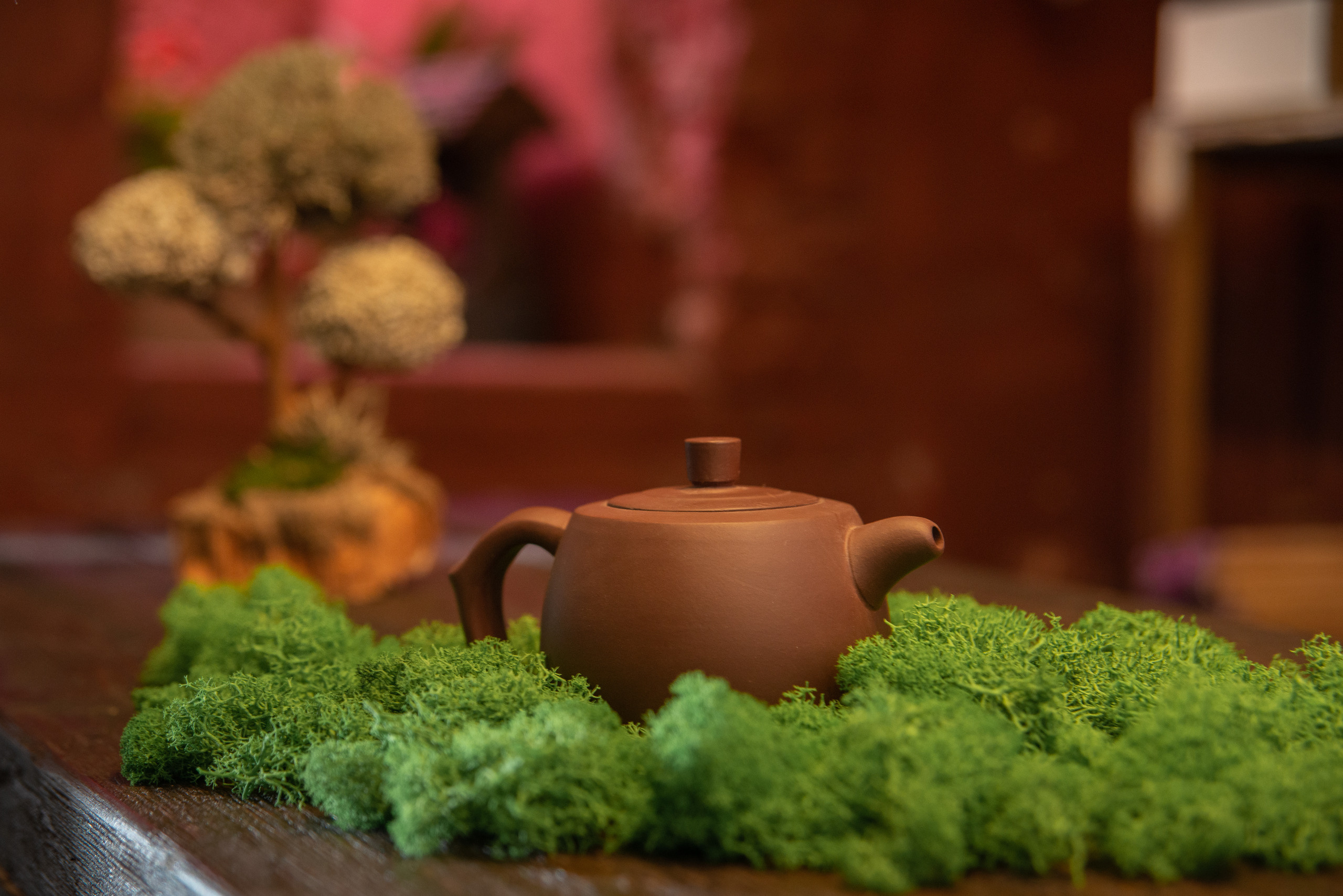 фотосъемка кафе