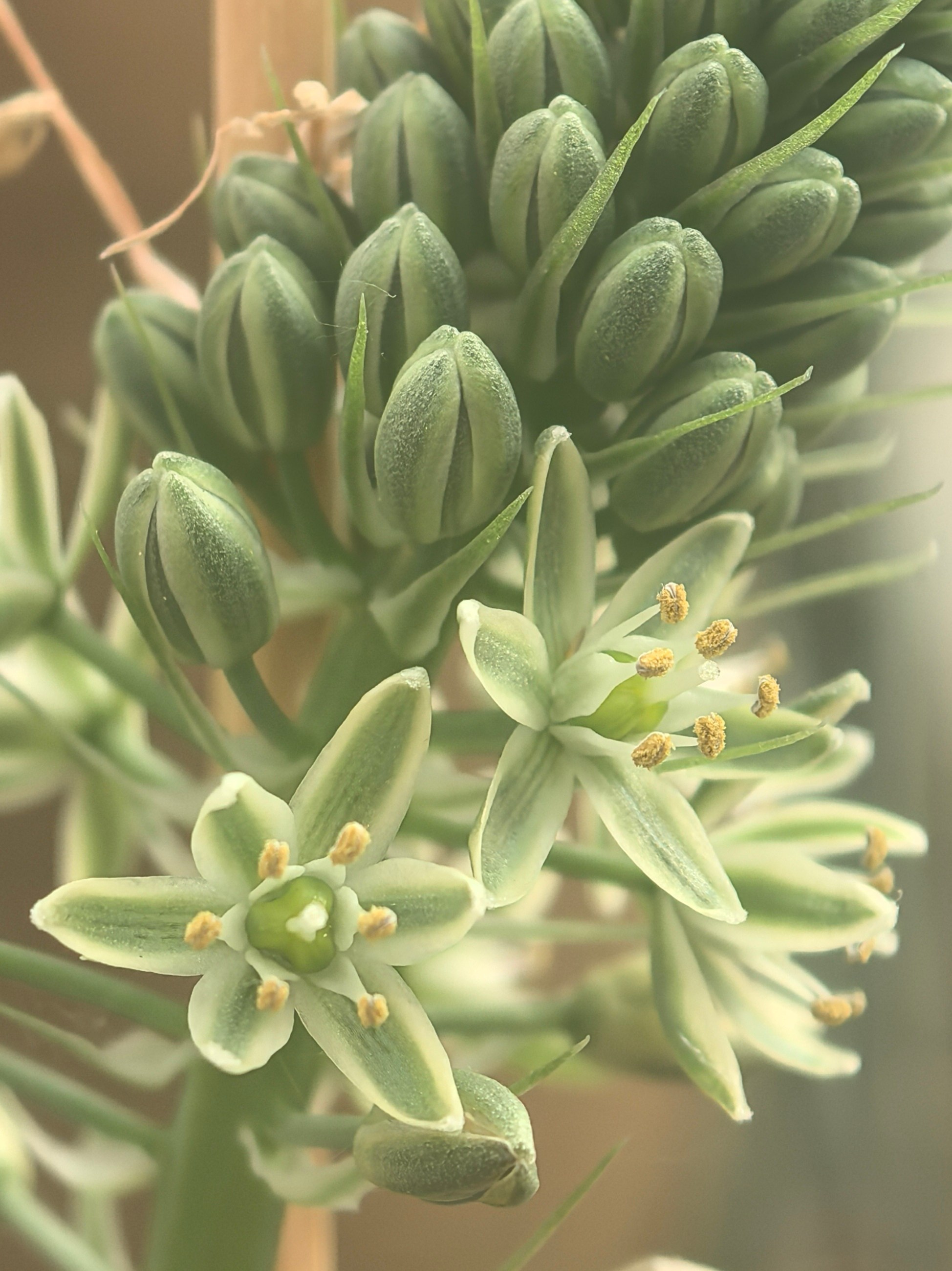 ПочтиМАКРО. Школьные выпускные альбомы в Москве Марина Николаева