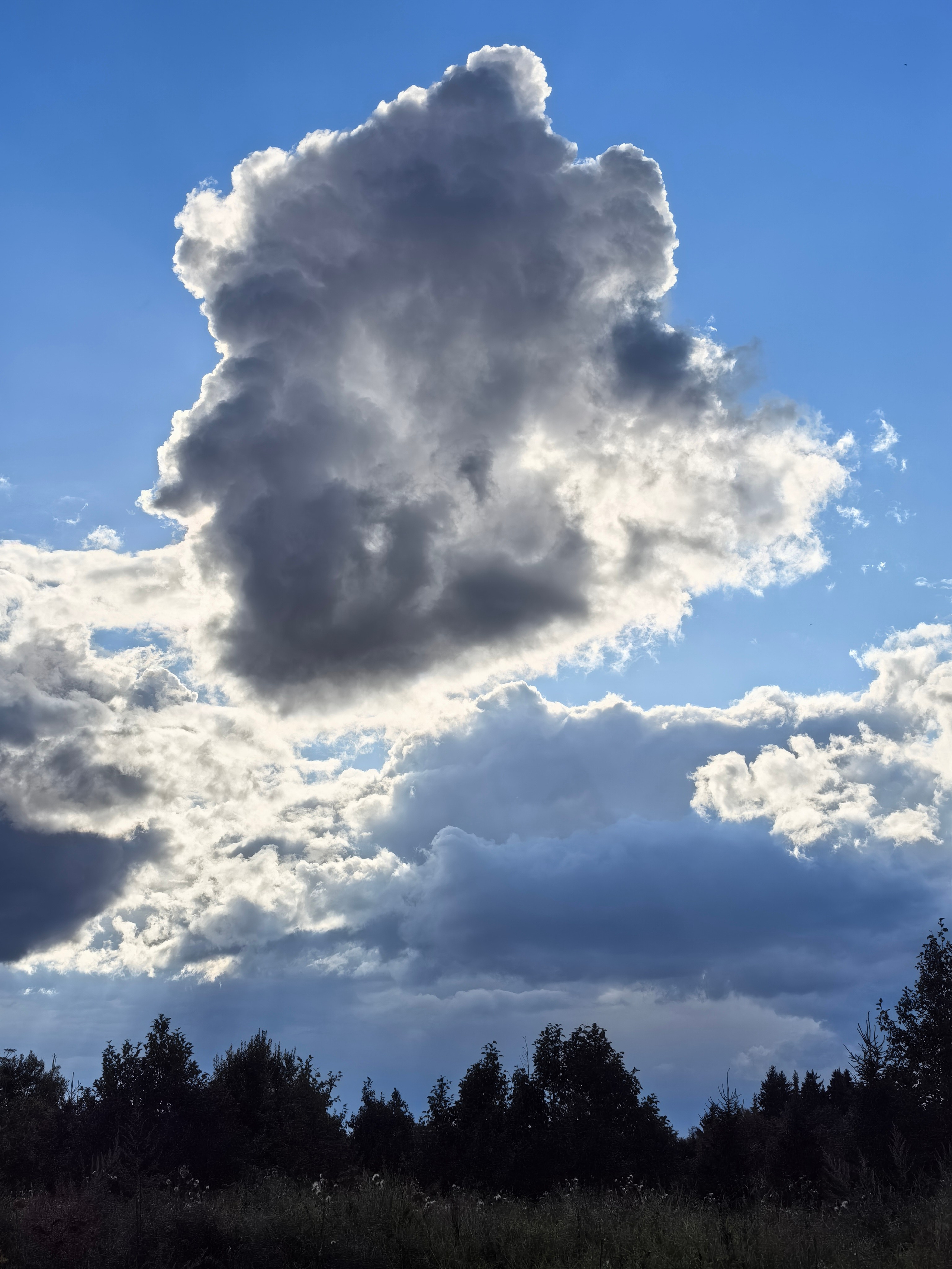 Чудесная природа. Школьные выпускные альбомы в Москве Марина Николаева