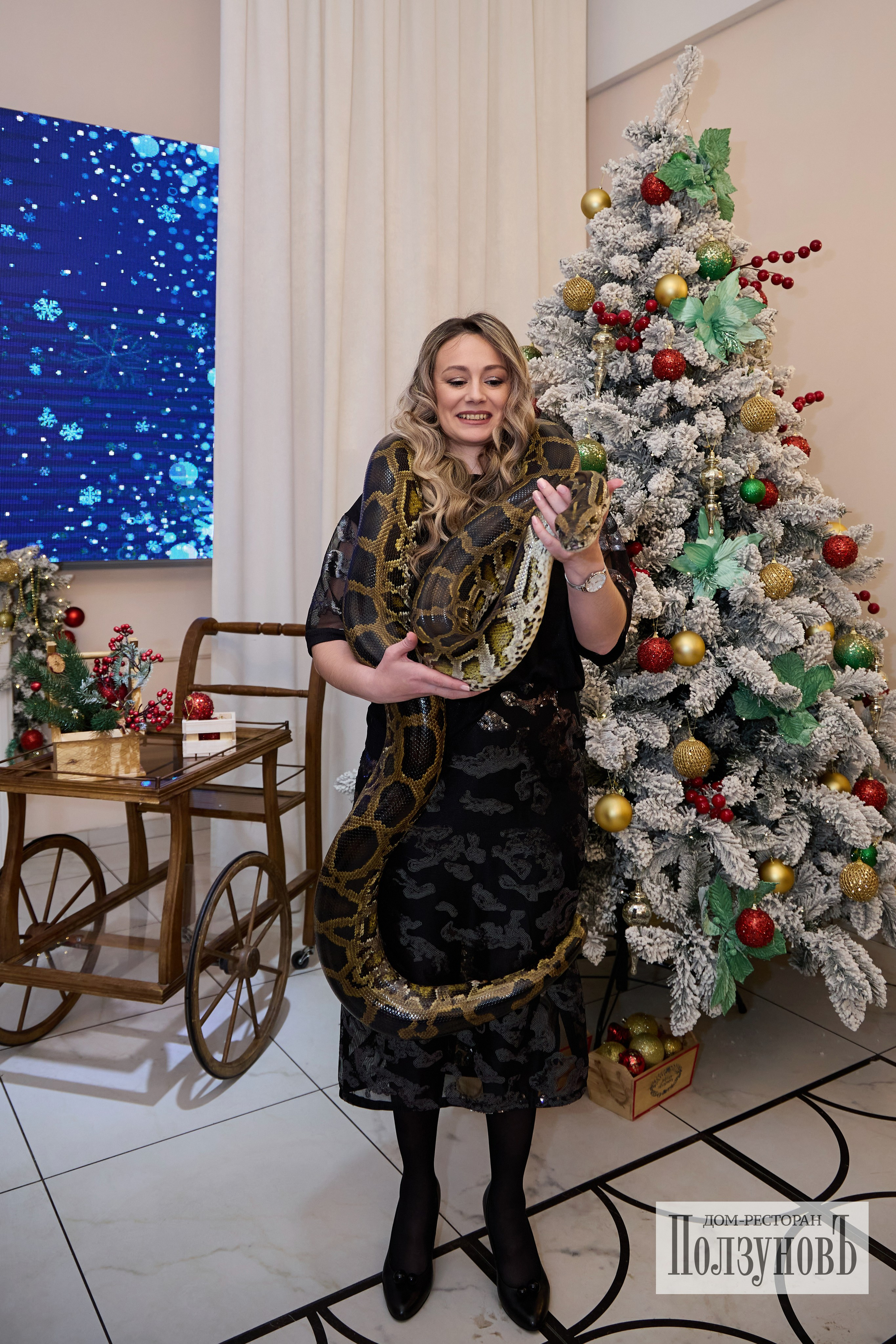 Новый Год Ползунов. Фотограф Барнаул Фатыхов Тимур