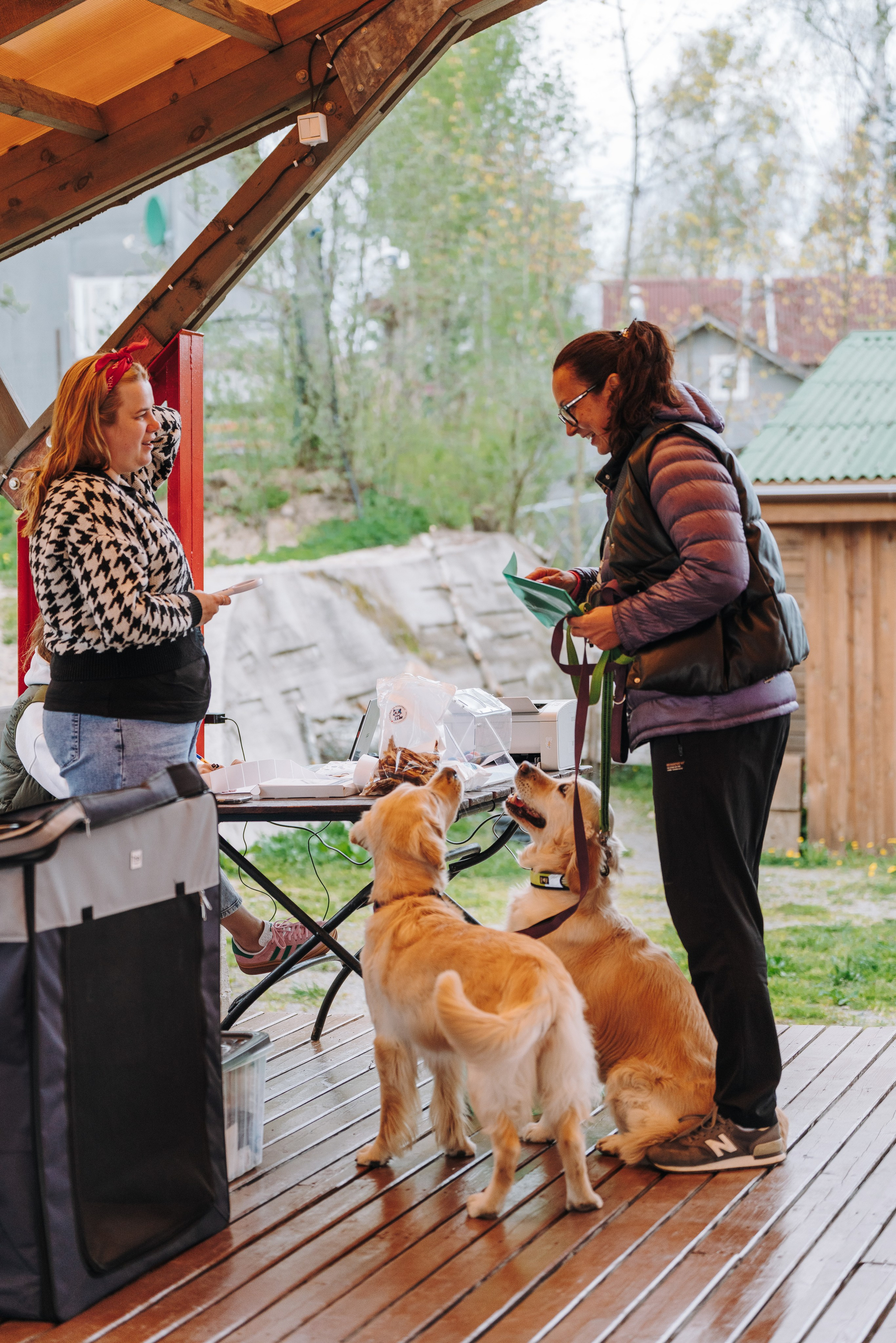 Соревнования по ноузворку в Лосево. Фотограф анималист в Спб недорого Олеся Майорова