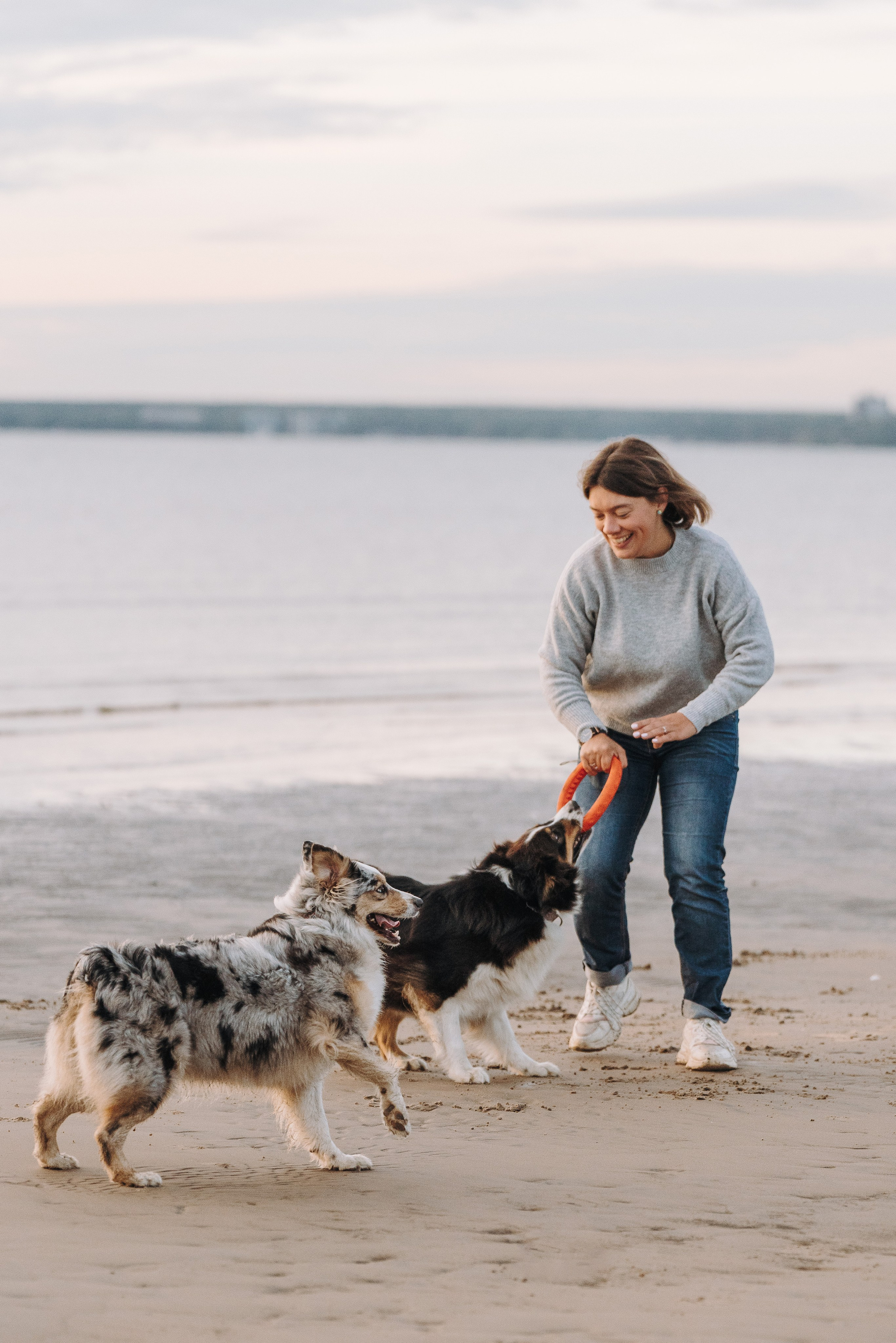 Фотограф анималист в Спб. Фотограф анималист в Спб недорого Олеся Майорова
