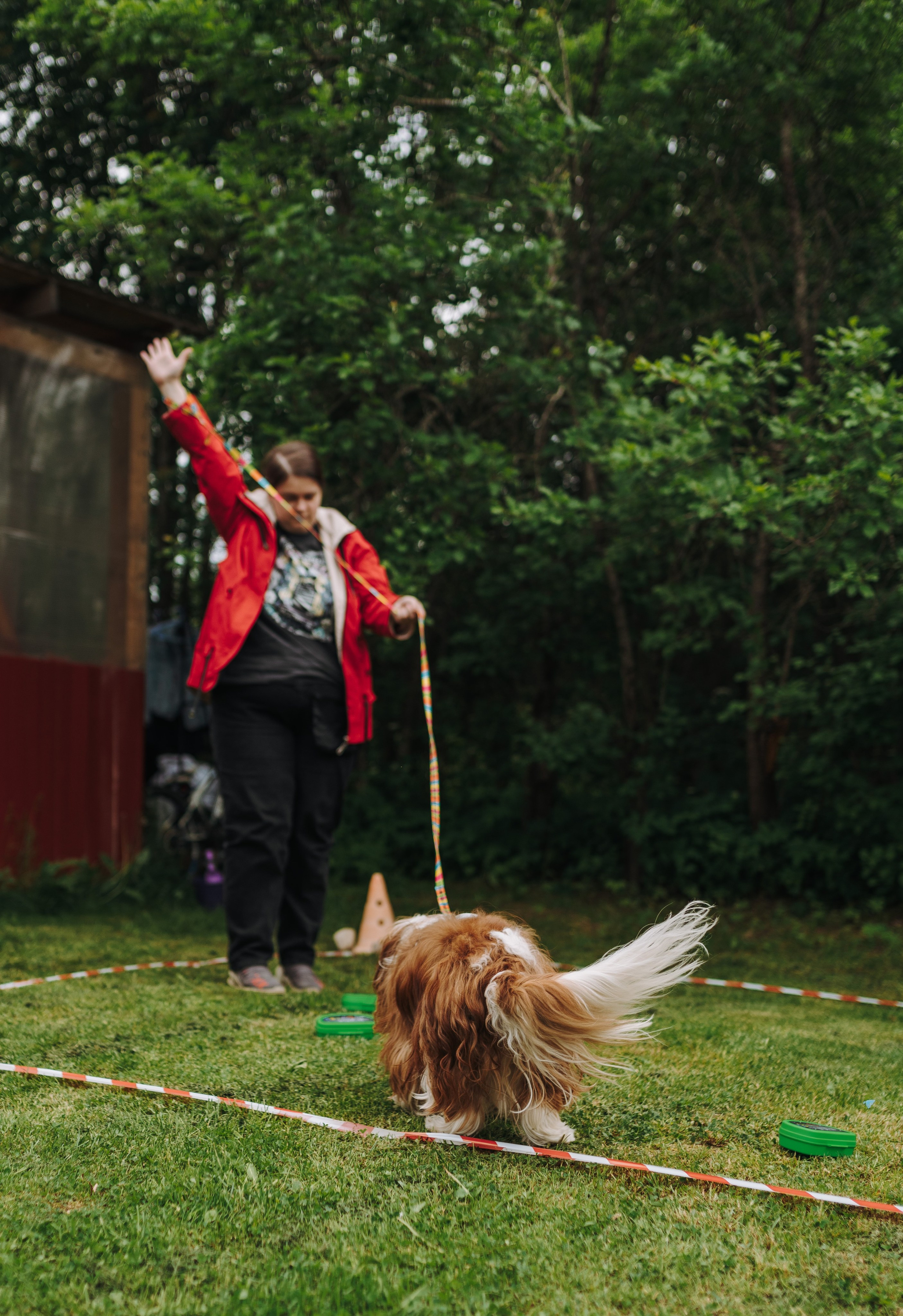 Соревнования по ноузворку. Фотограф анималист в Спб недорого Олеся Майорова