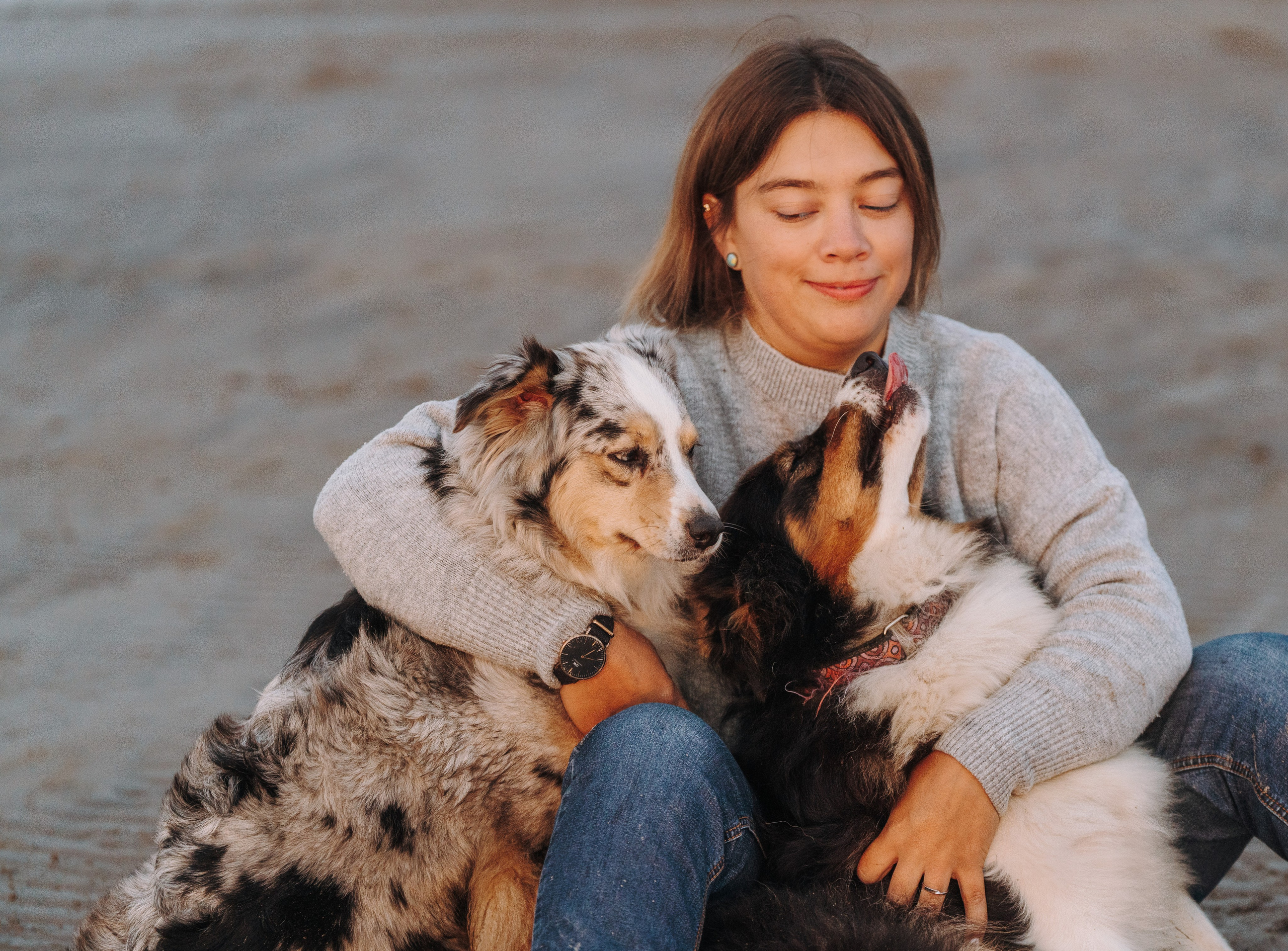 Фотограф анималист в Спб. Фотограф анималист в Спб недорого Олеся Майорова