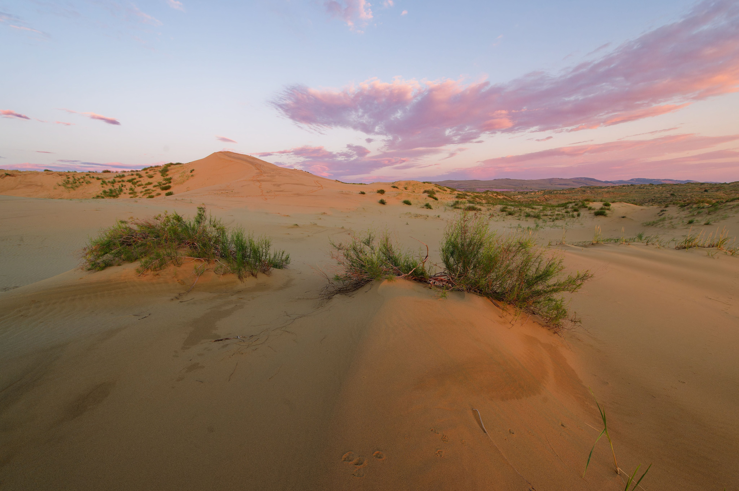 Виртуальная фотовыставка «Заповедный Дагестан». Репортажный фотограф в Крыму Ксения Гасица