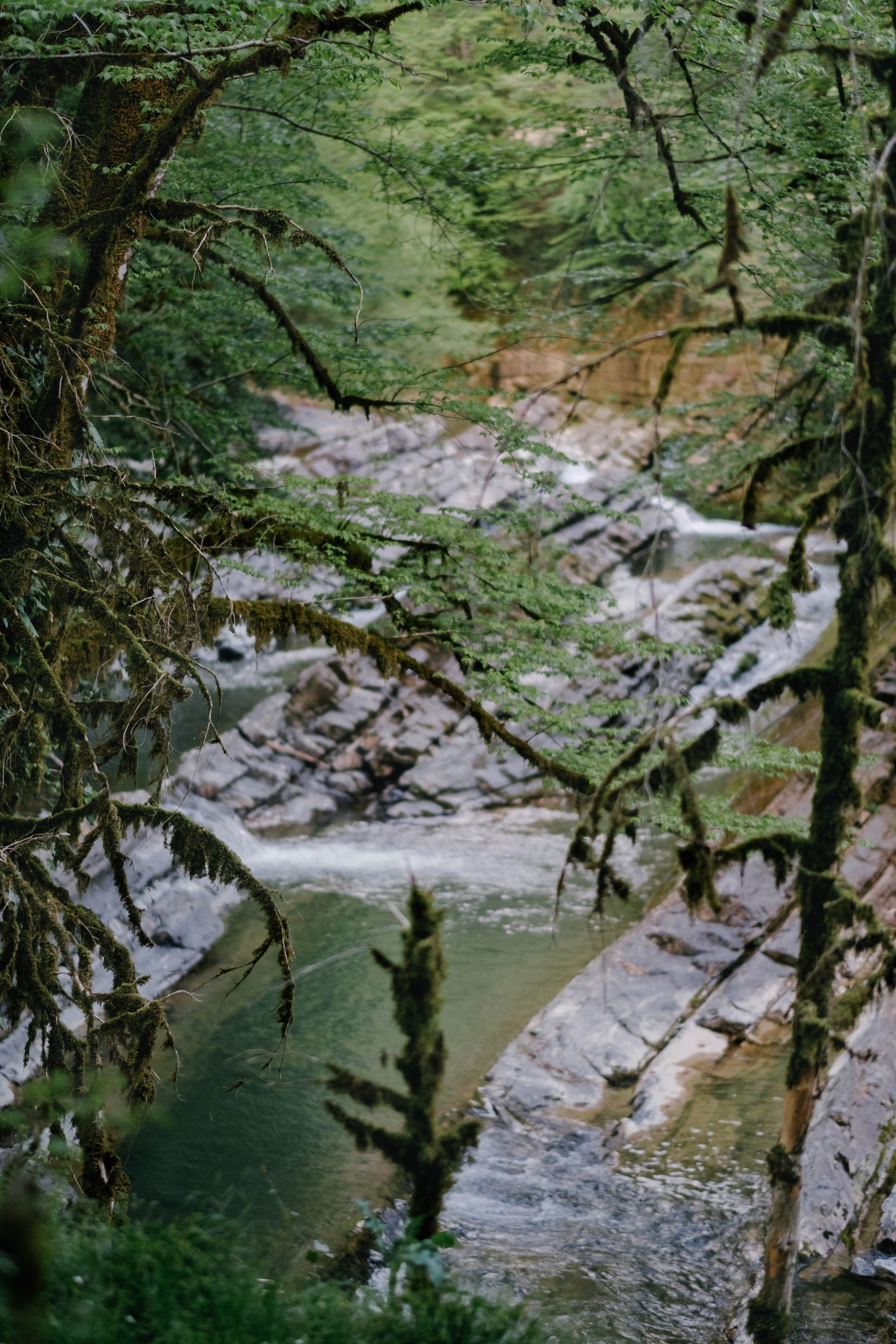 Дагомыские корыта. Свадебный Видеограф Фотограф в Сочи