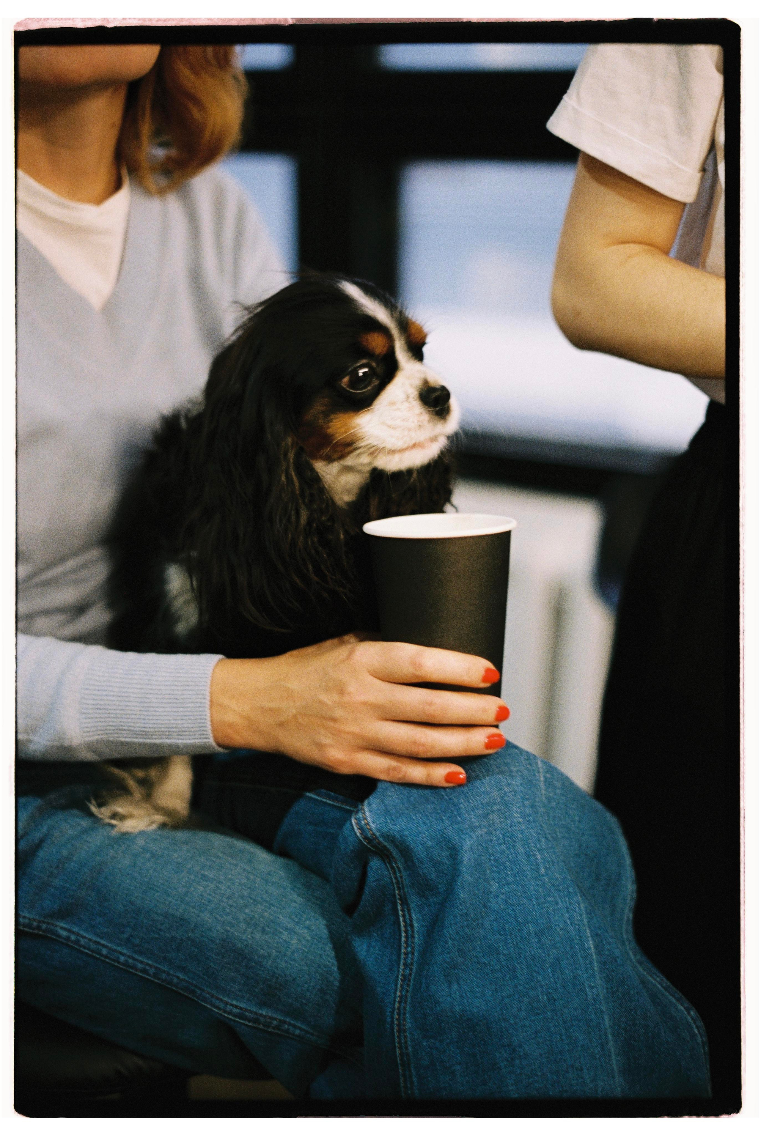Пленка. Репортажный и свадебный фотограф Коваленко Игорь