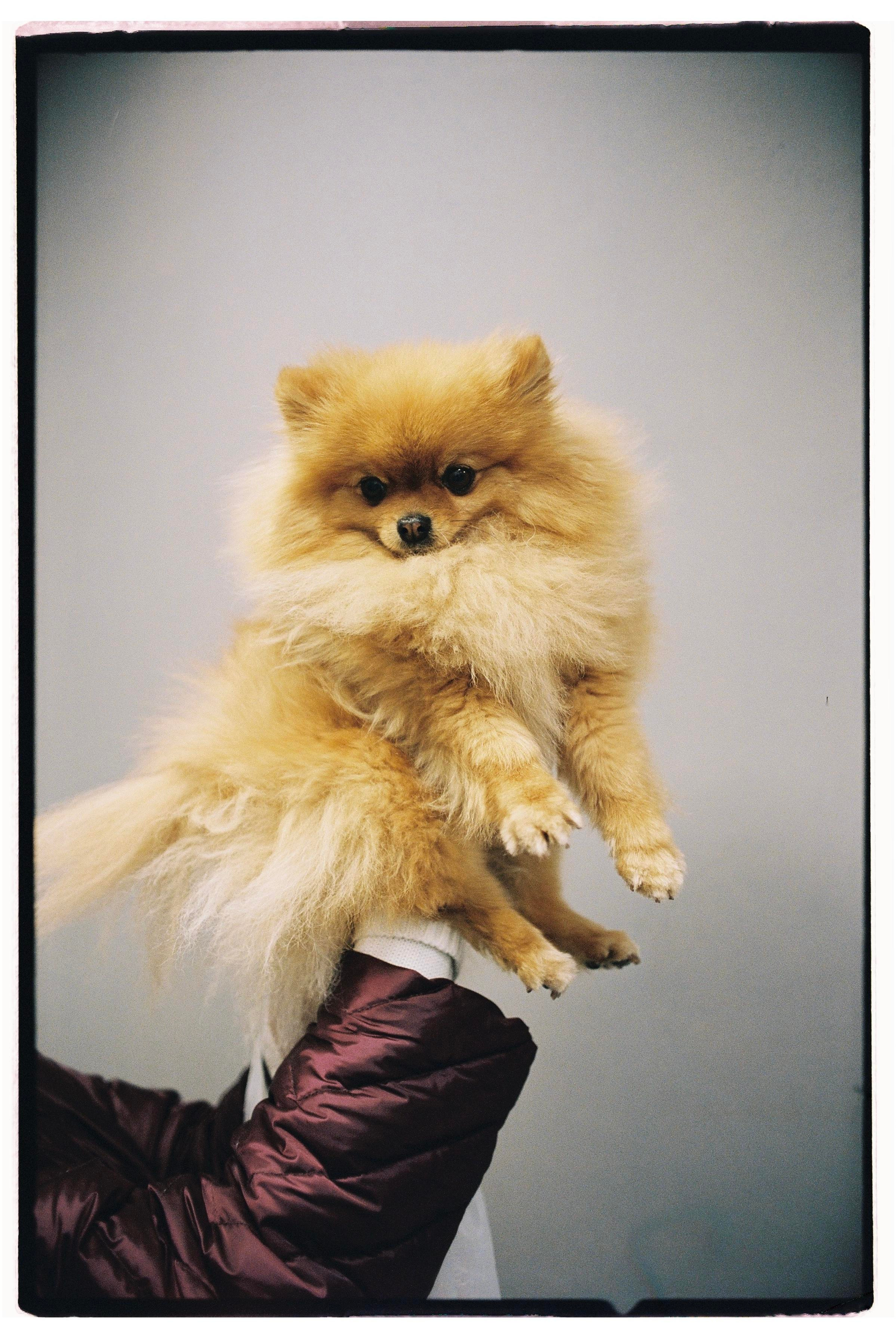 Пленка. Репортажный и свадебный фотограф Коваленко Игорь