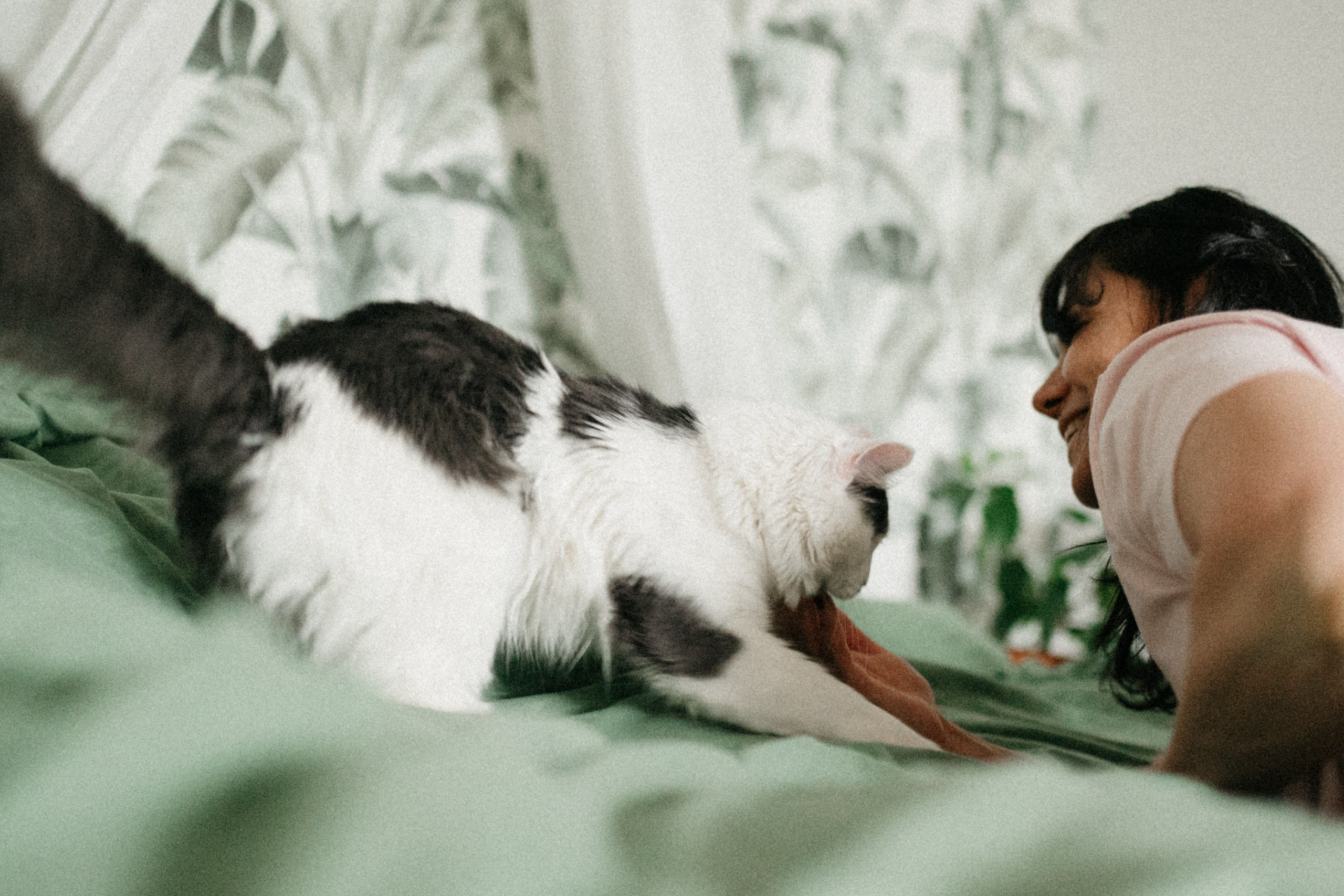 Оля и её меховая банда. Фотограф анималист в Москве Ольга Агушева