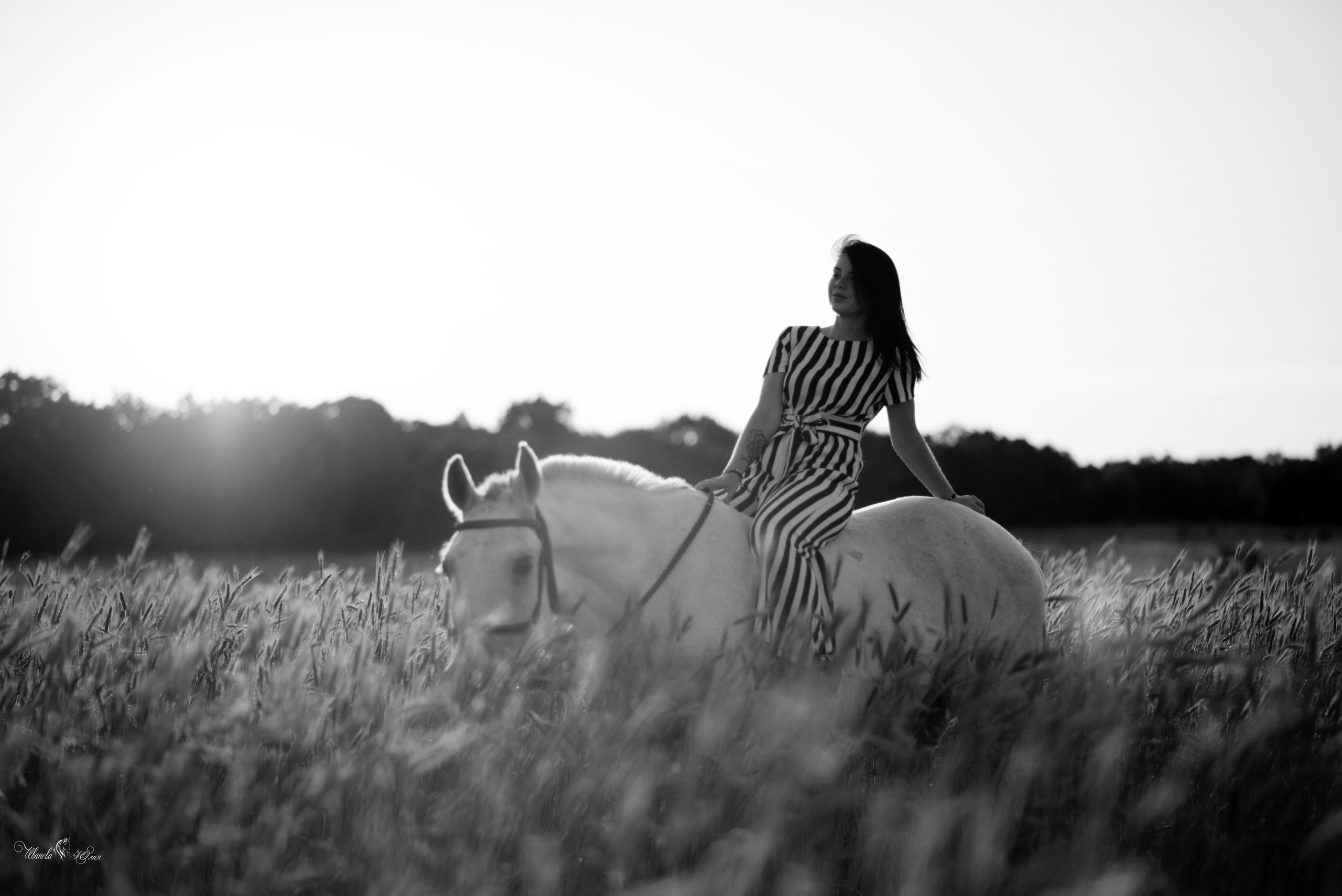 Кристина и Гипноз. Конный фотограф в Саратове Юлия Иванова