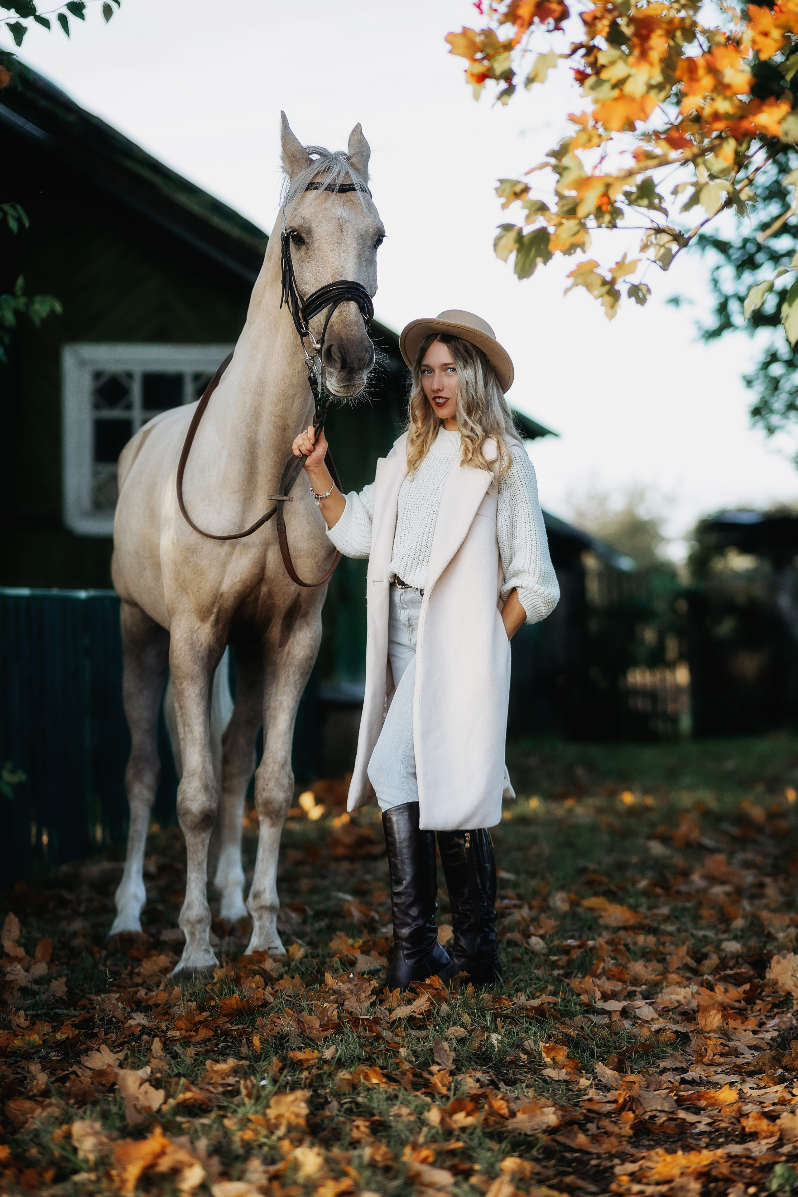 Фотосессии с лошадьми. Фотограф в Твери и Бежецке Ирина Семенова