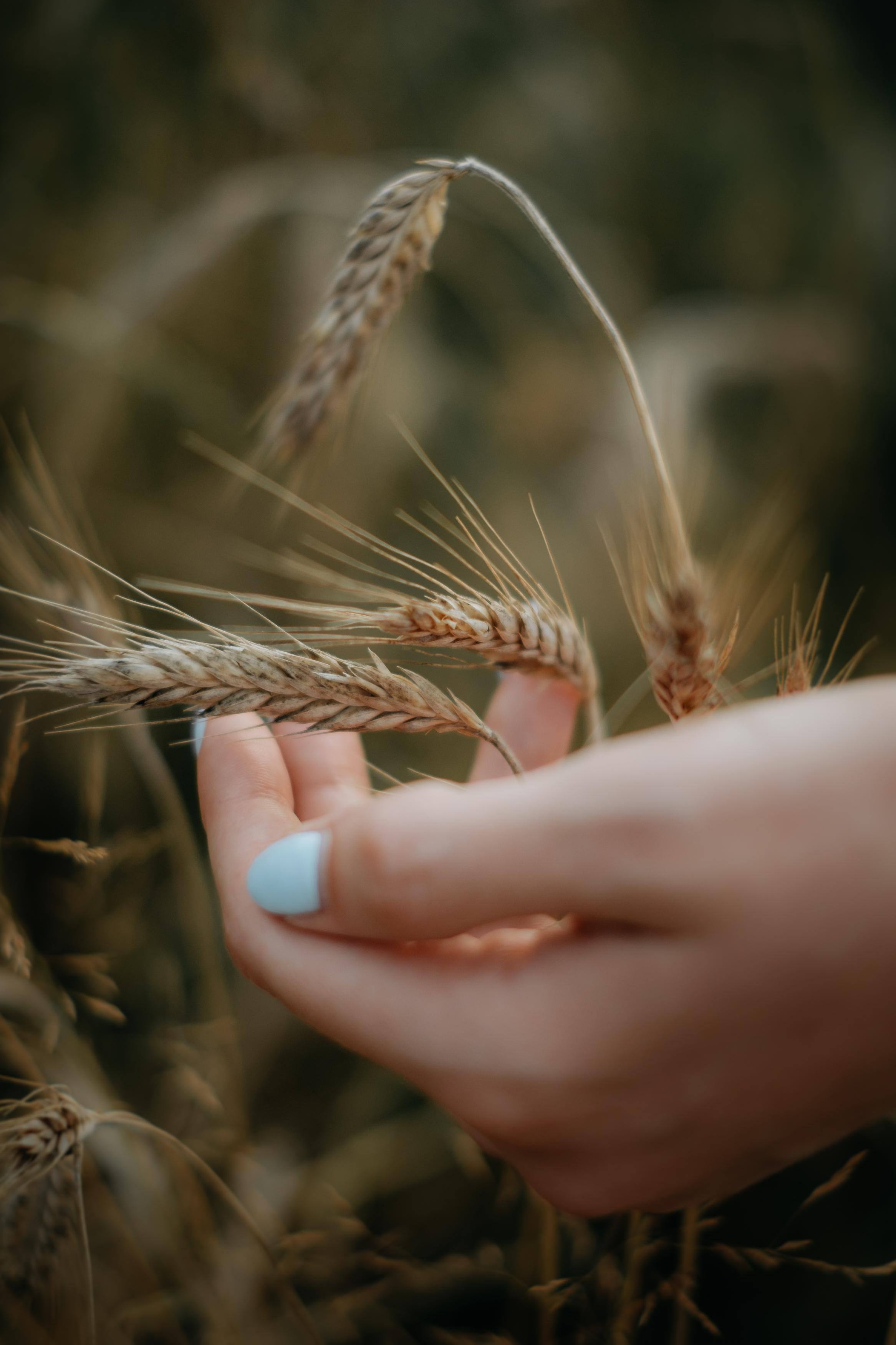 Счастье нельзя купить, его можно родить. Фотограф в Твери и Бежецке Ирина Семенова