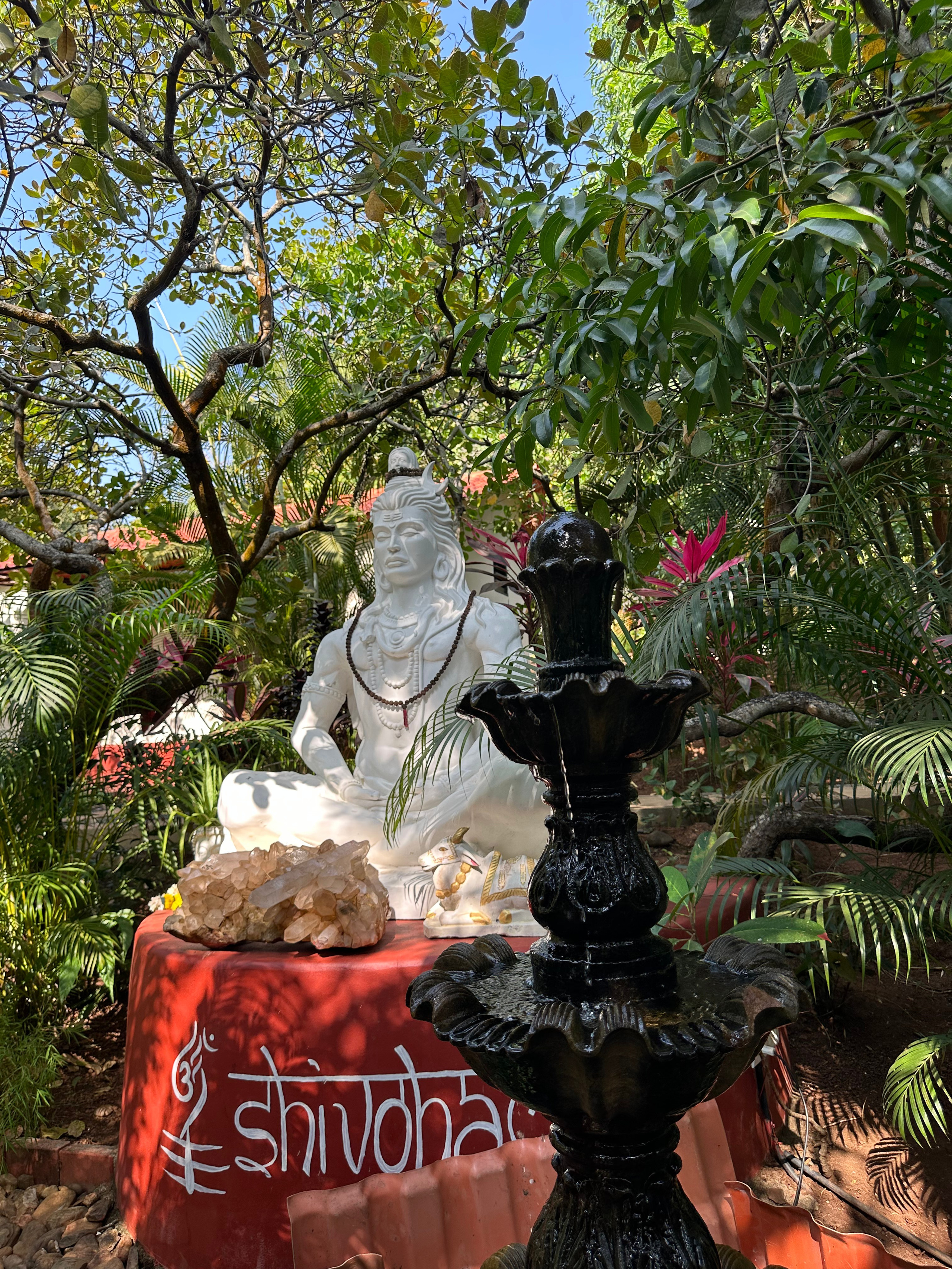 Ретрит в Гоа. Женские даосские практики