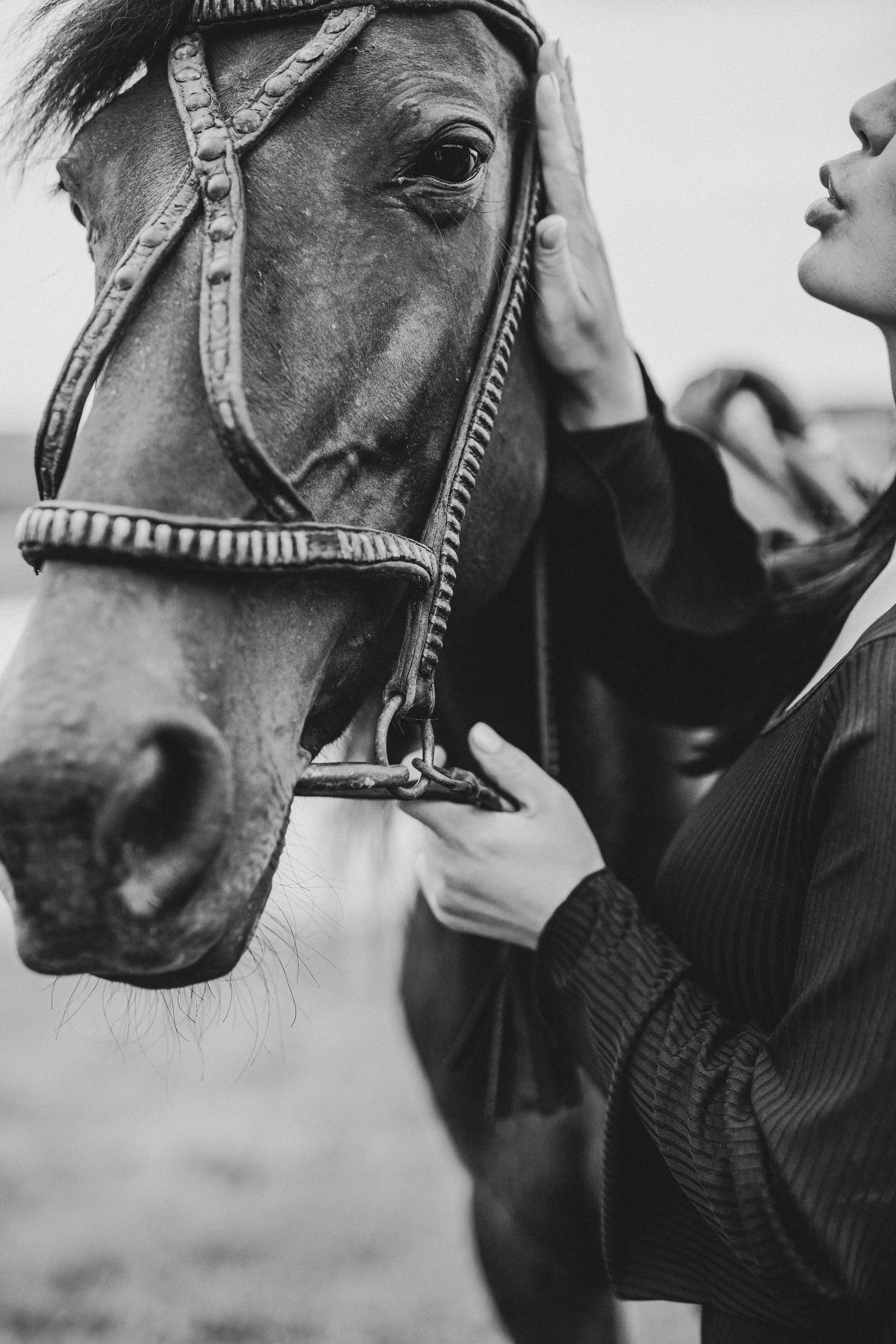Лилия. Фотограф Анастасия Петрова
