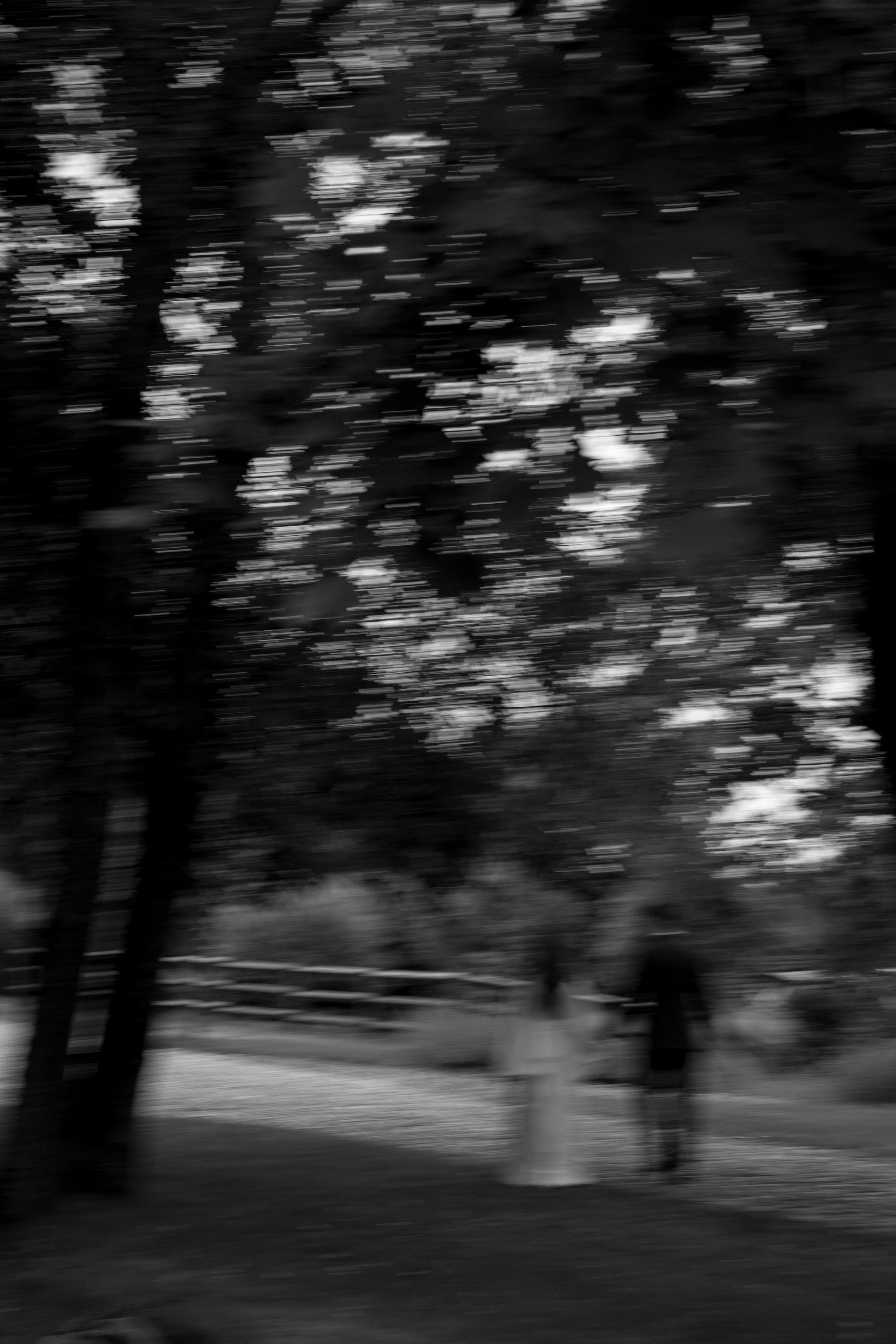 Евгений и Дарья. Свадебный и семейный фотограф в Орша