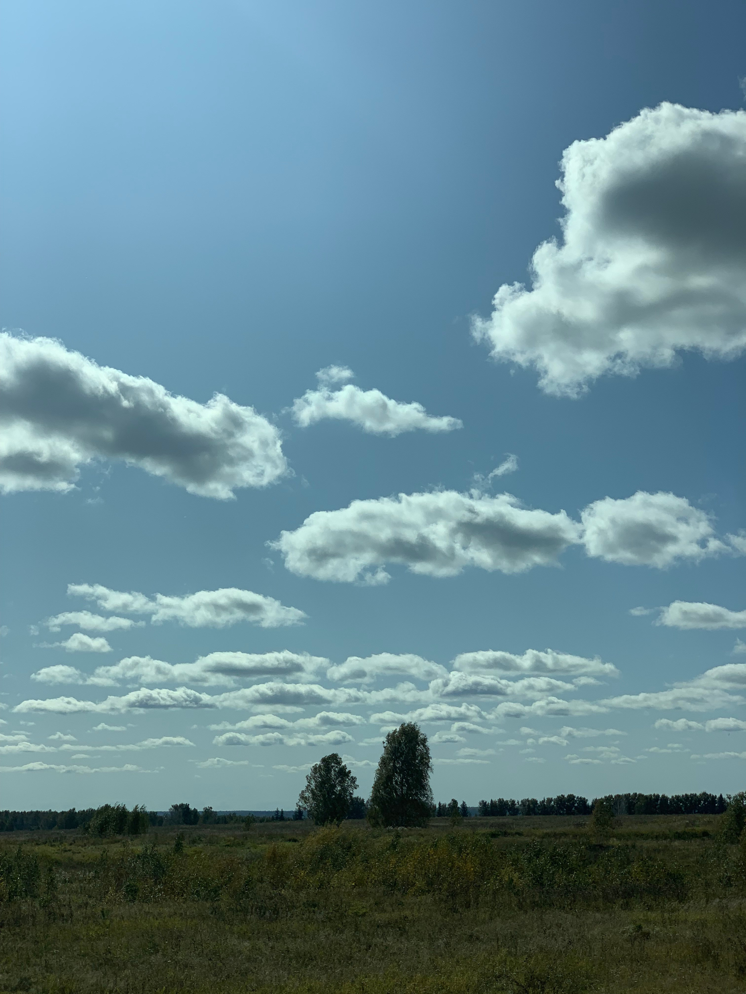 2019 год. Тащилин Сергей. Фотографии. Жизнь. Хобби